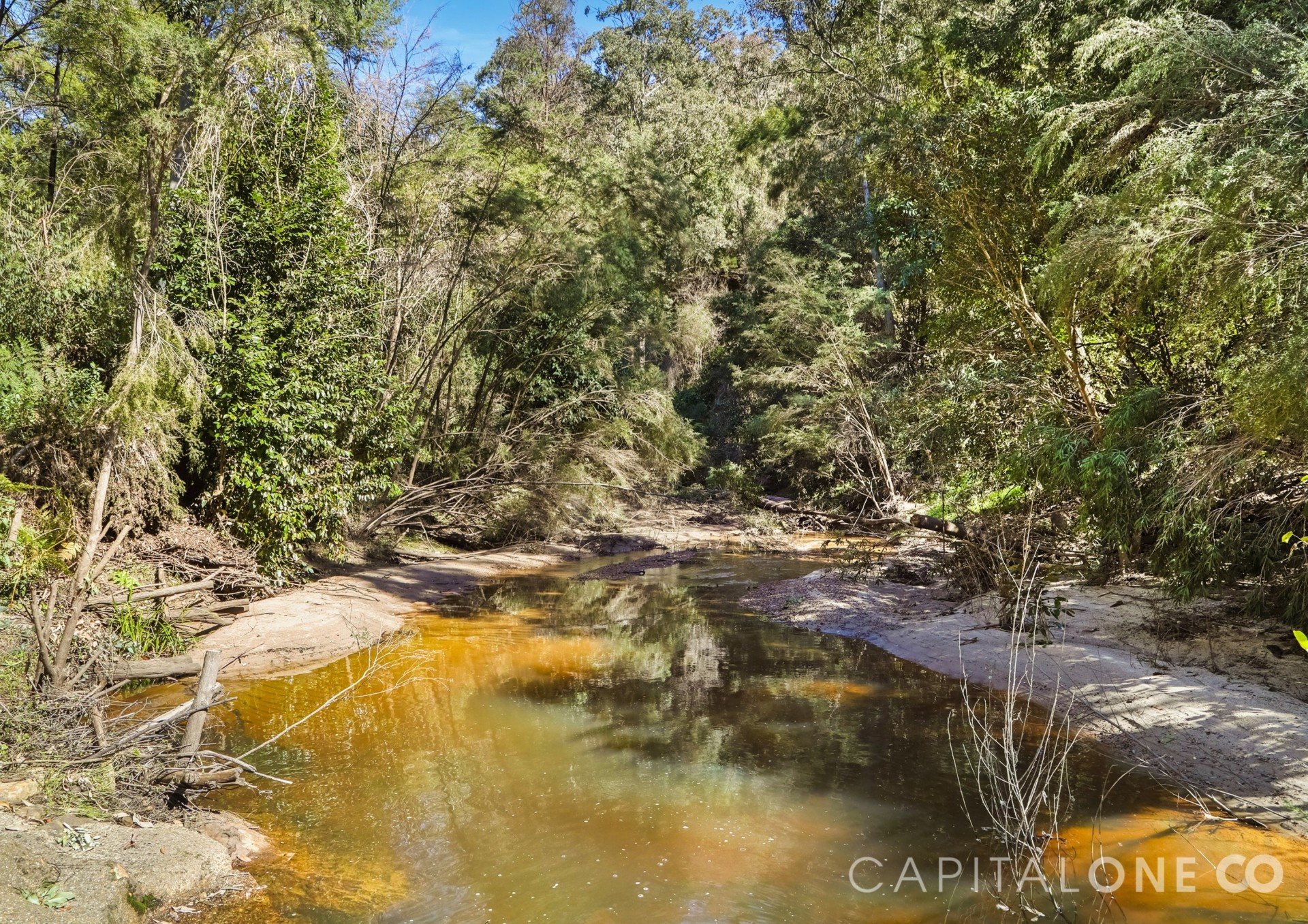 Real Estate in Mogo Creek