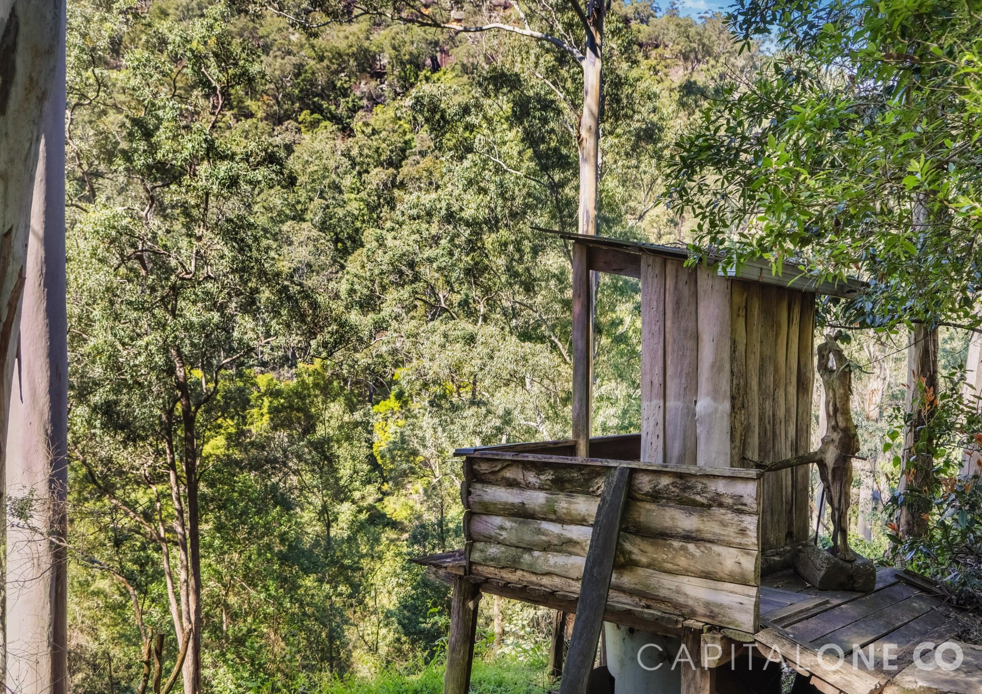 Real Estate in Mogo Creek