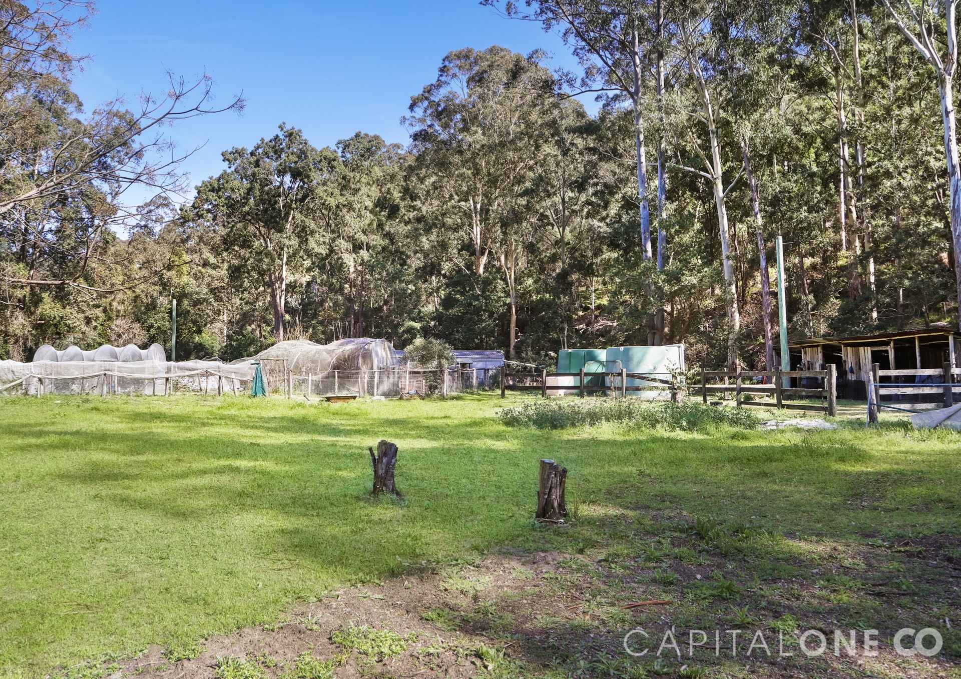 Real Estate in Mogo Creek