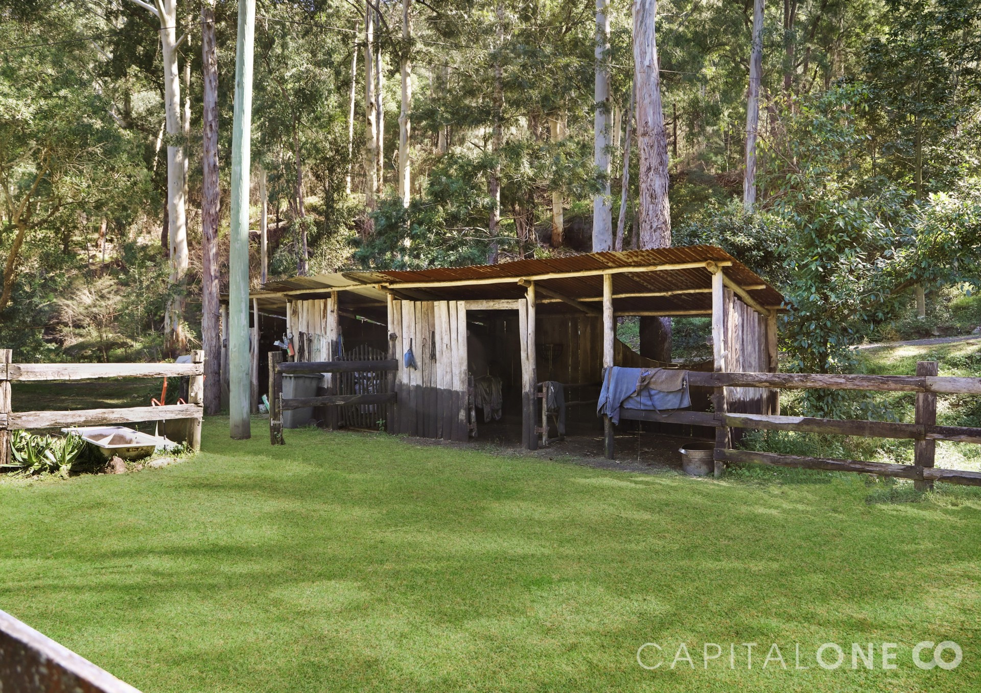 Real Estate in Mogo Creek
