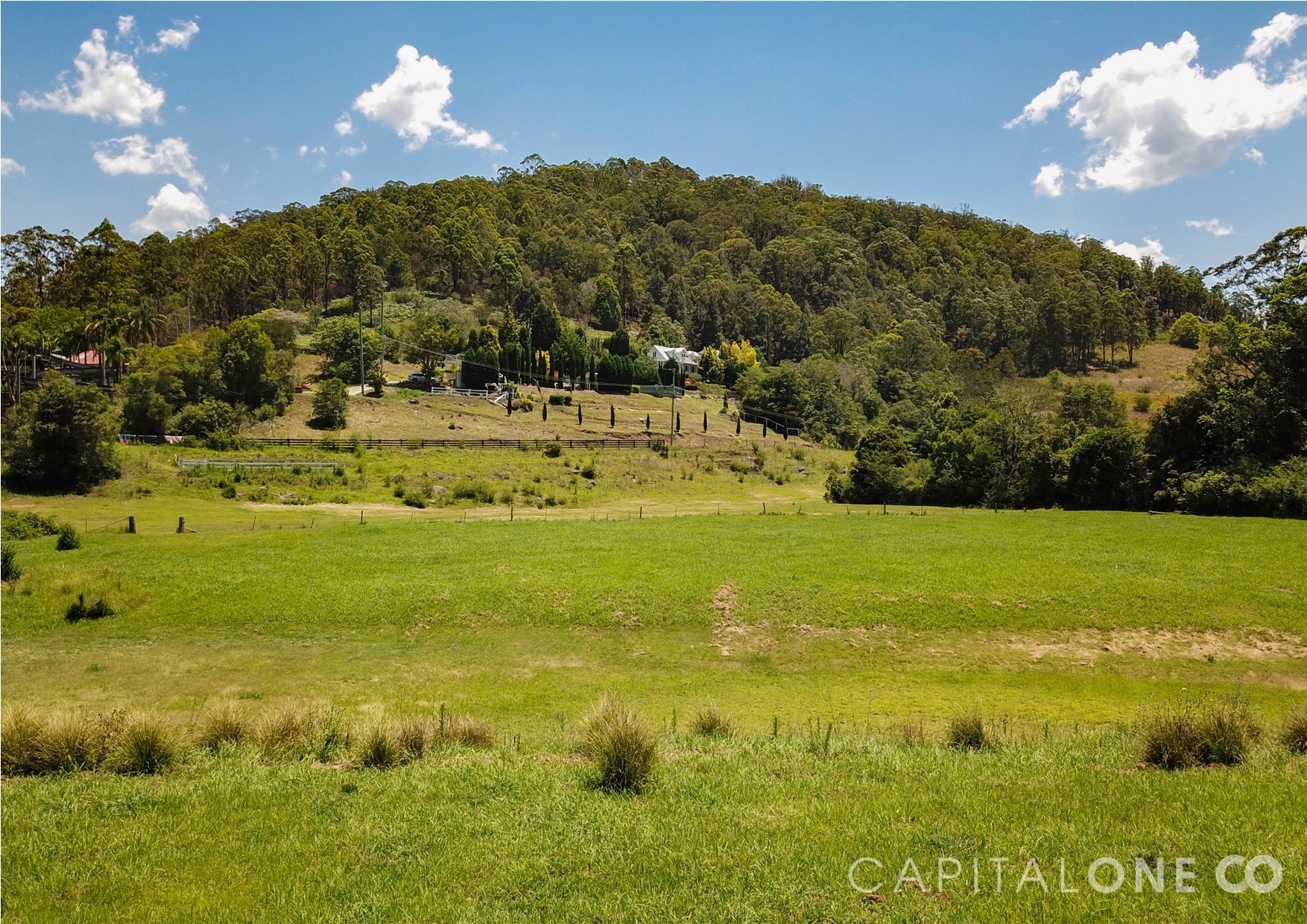 Real Estate in Yarramalong