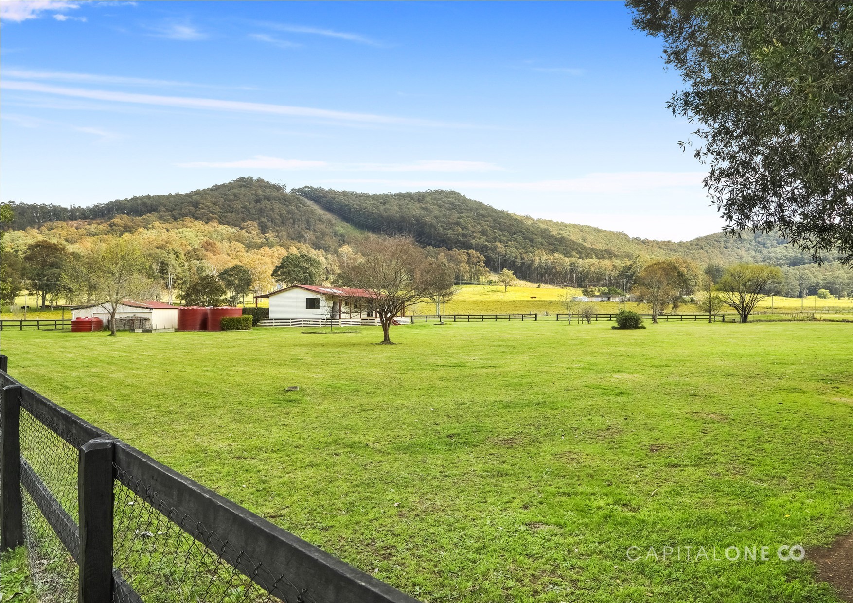 Real Estate in Jilliby