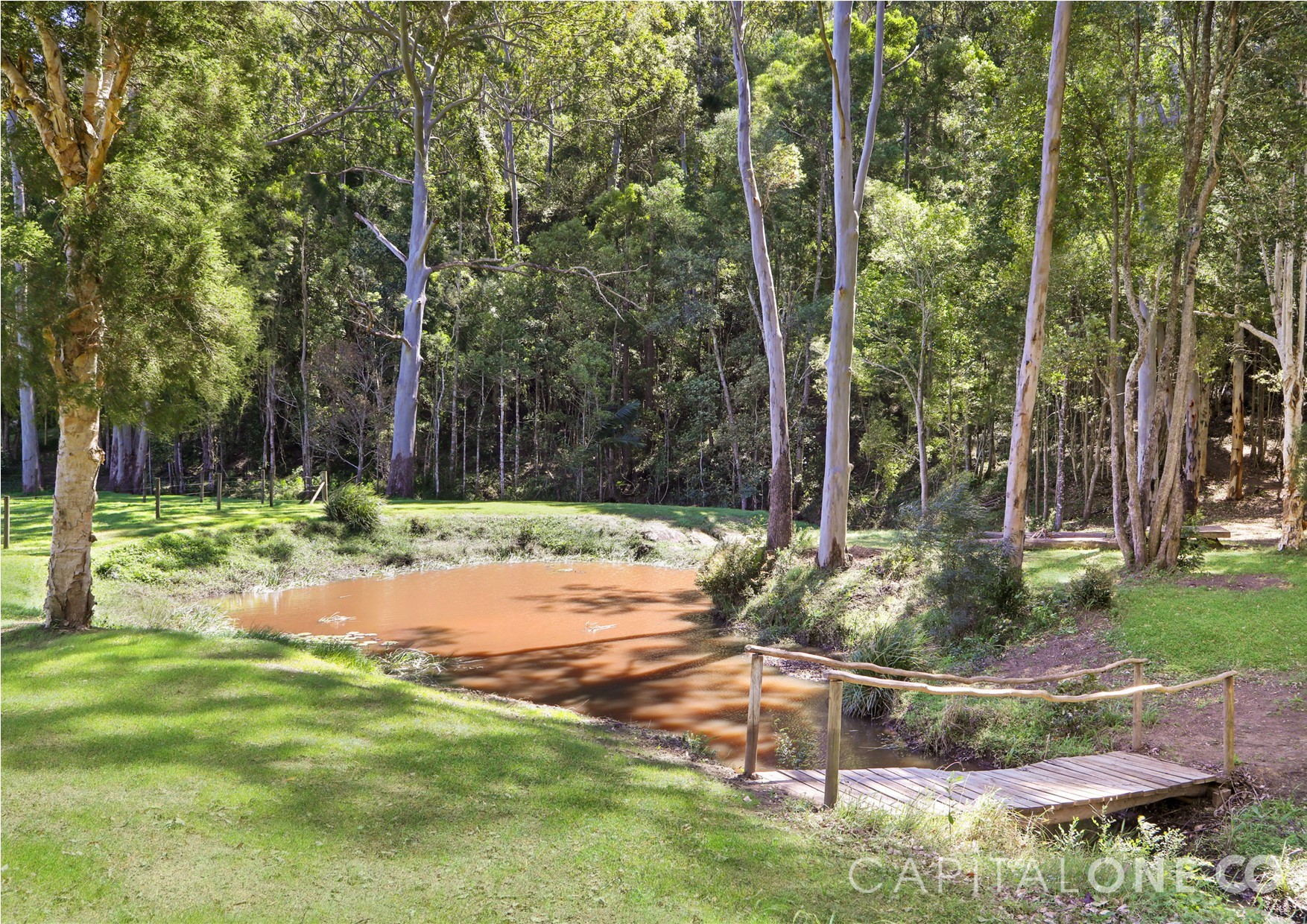Real Estate in Wyong Creek