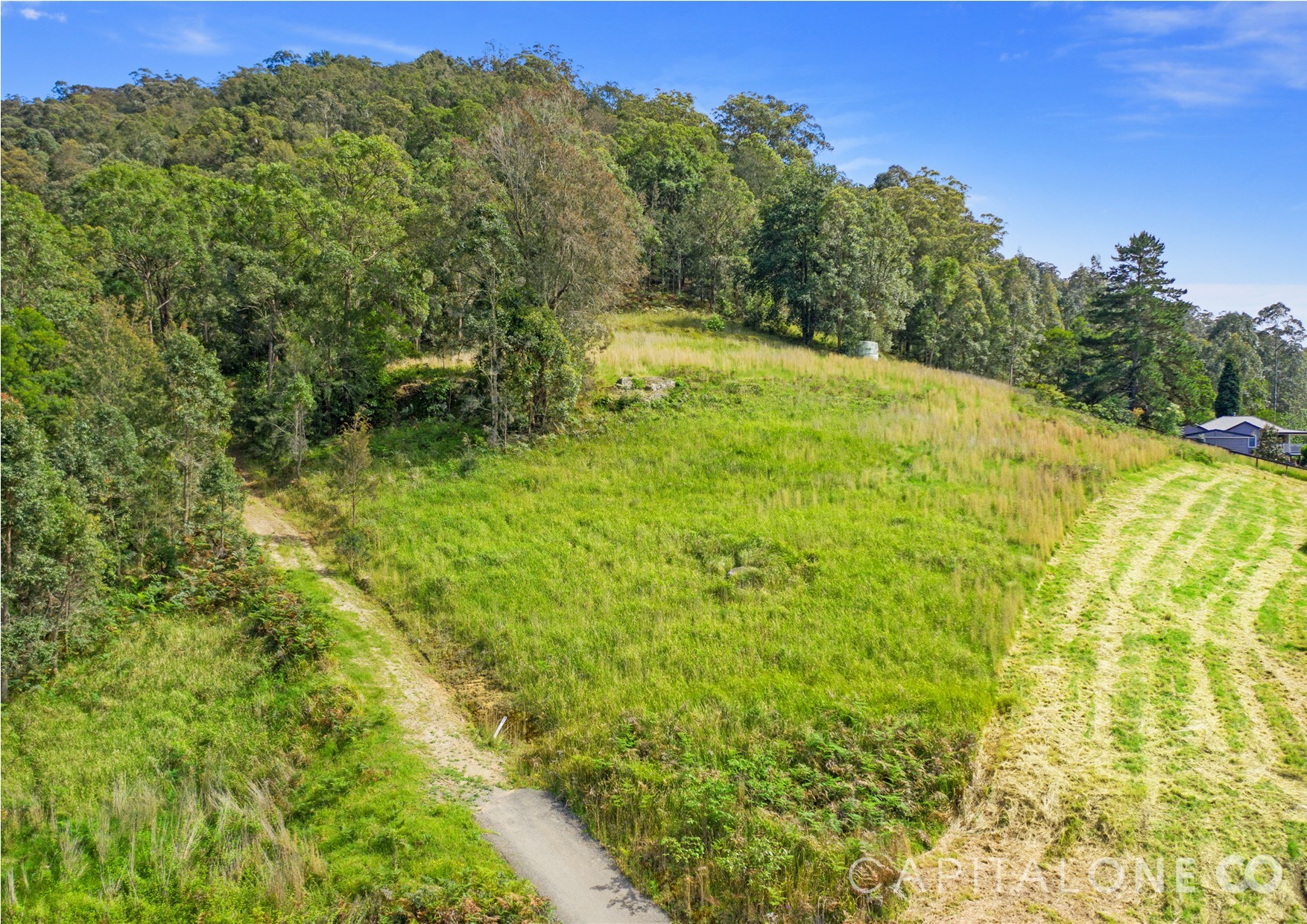 Real Estate in Cedar Brush Creek