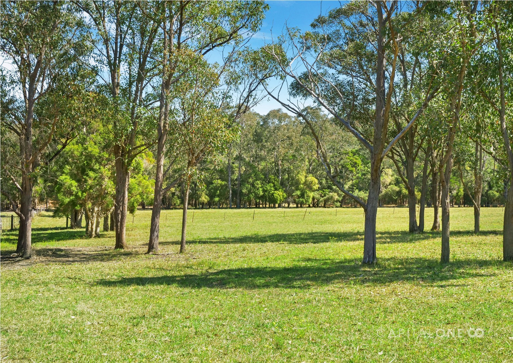 Jilliby real estate Sold