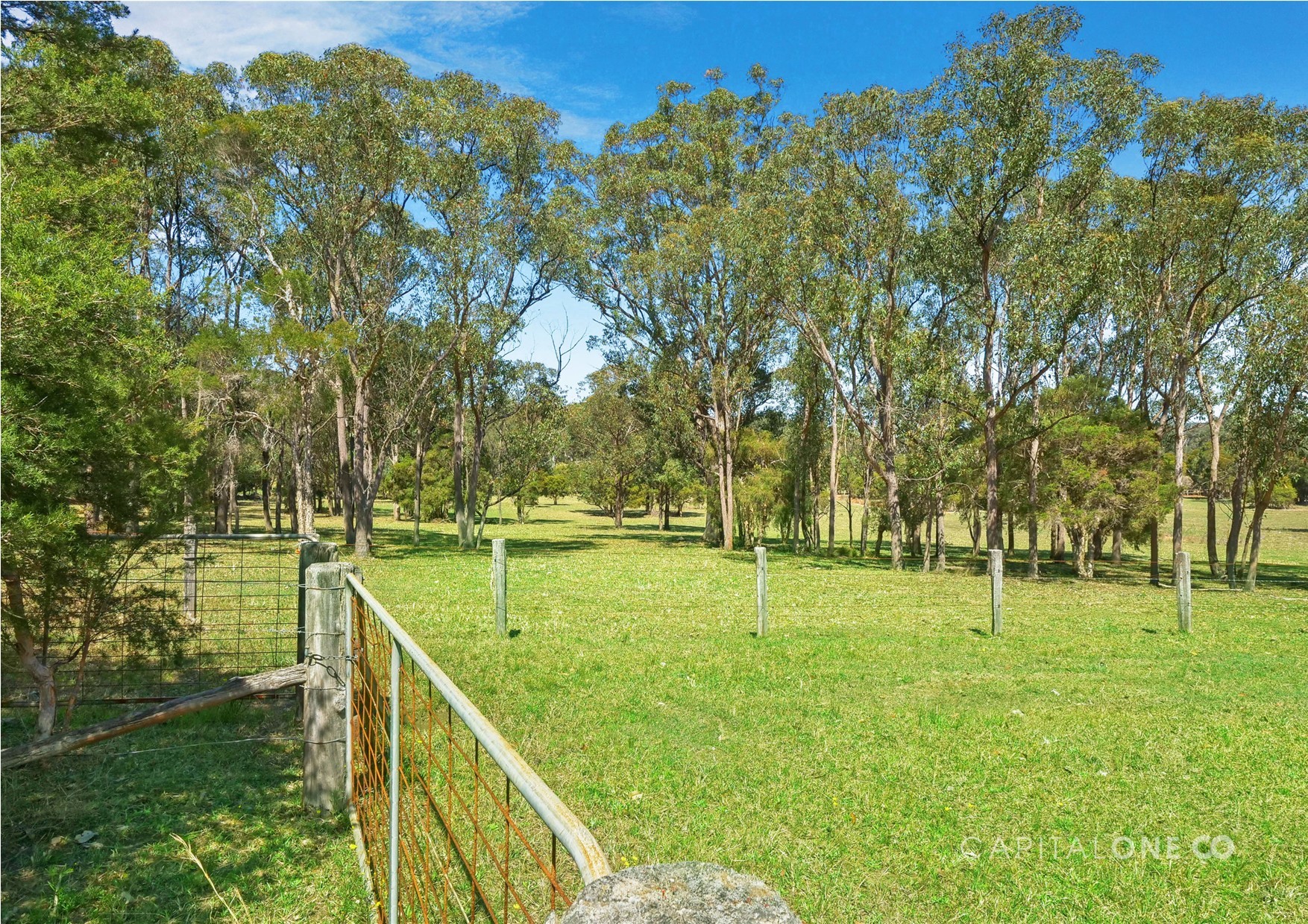 Real Estate in Jilliby