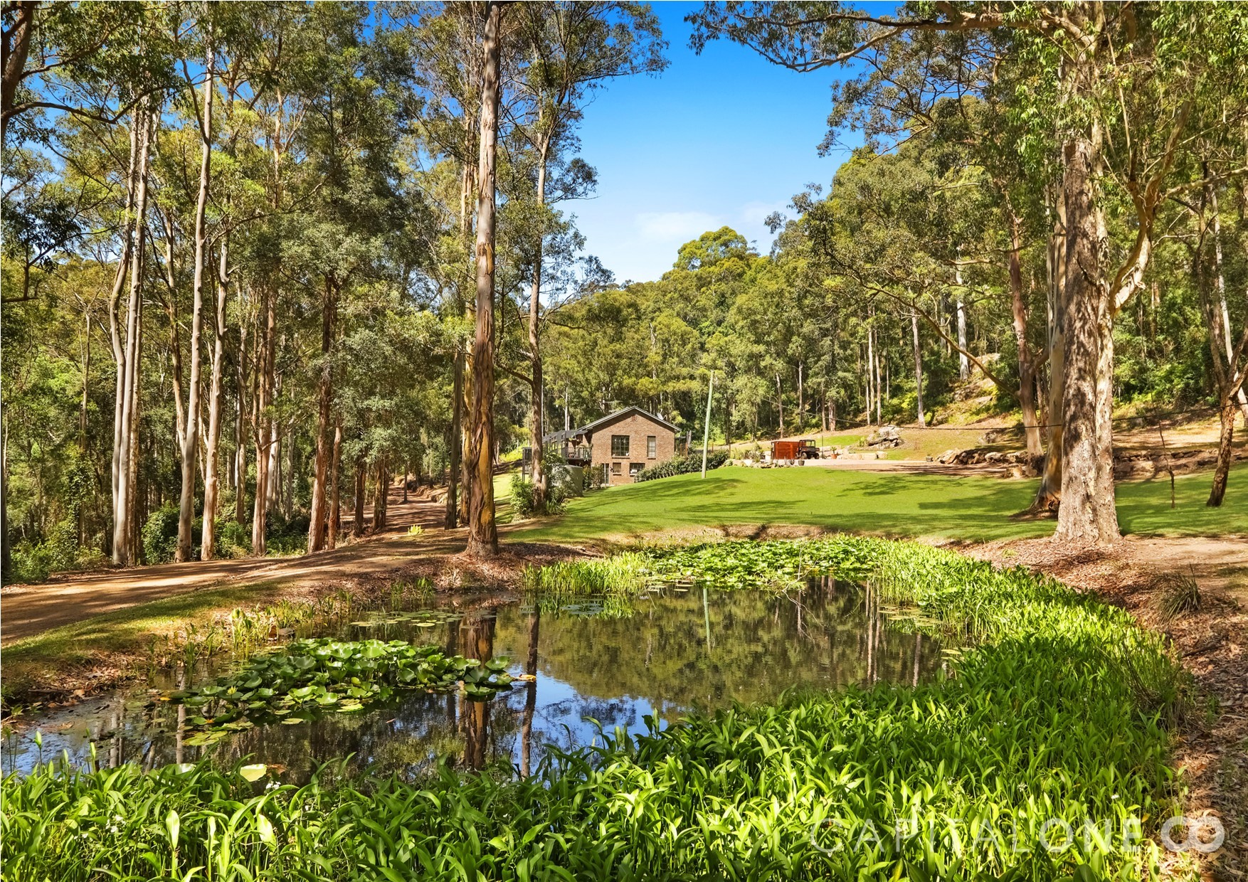 Wyong Creek Properties Sold