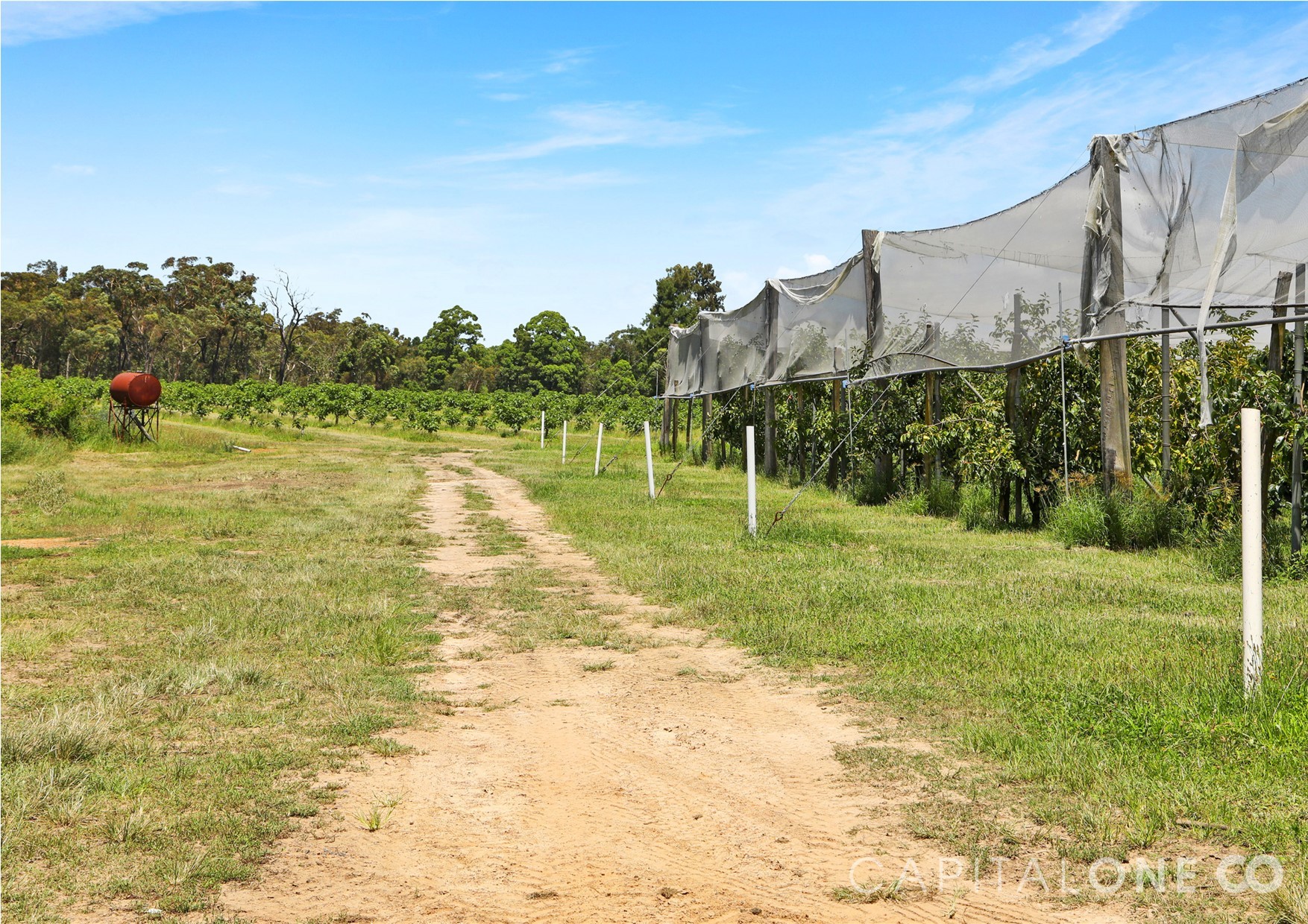 Real Estate in Mangrove Mountain