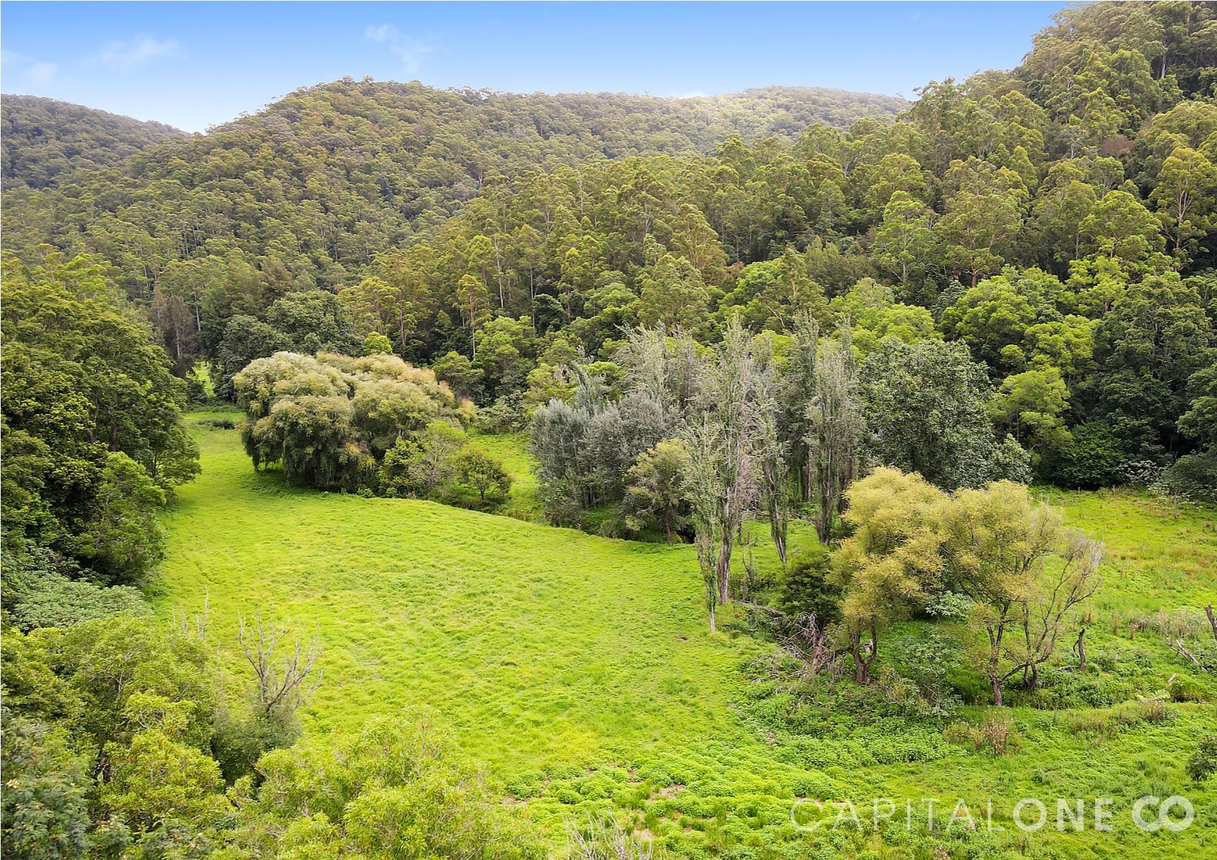 Real Estate in Yarramalong