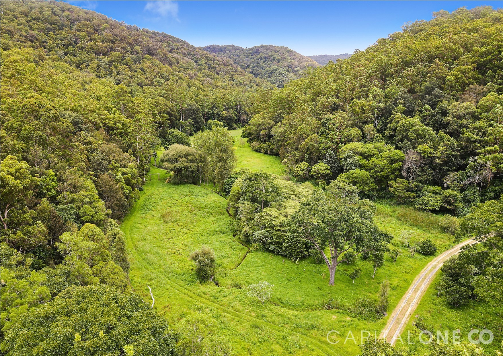 Real Estate in Yarramalong