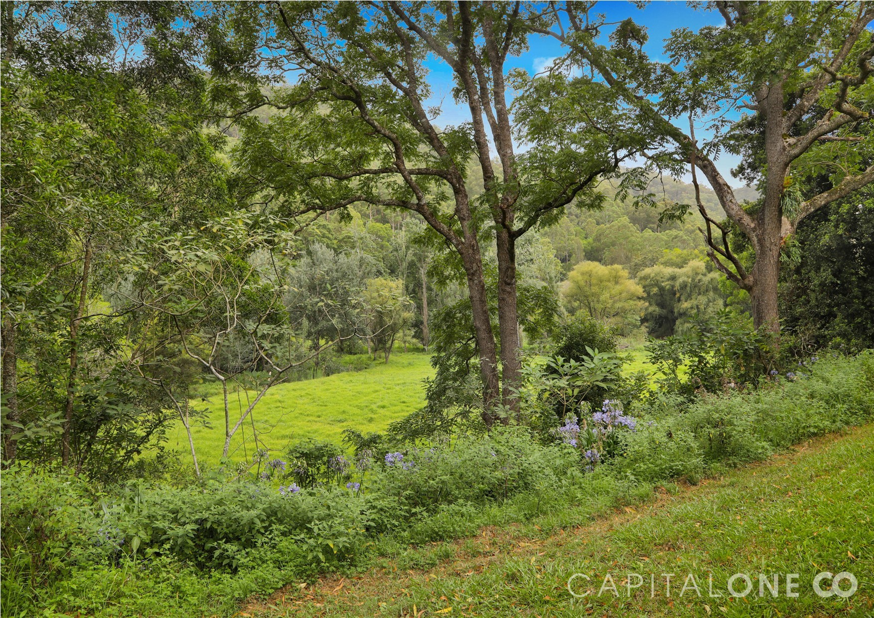 Selling your property in Yarramalong