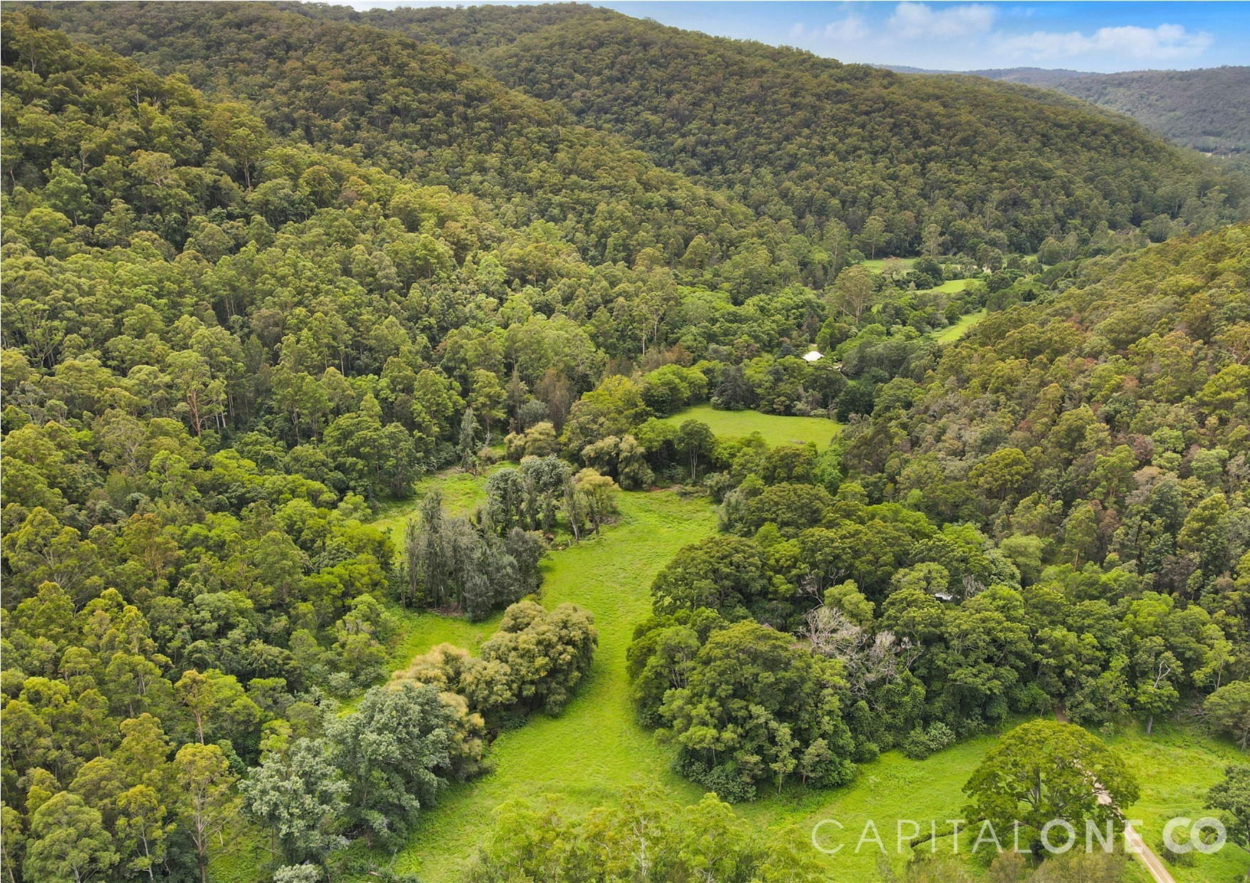 Real Estate in Yarramalong