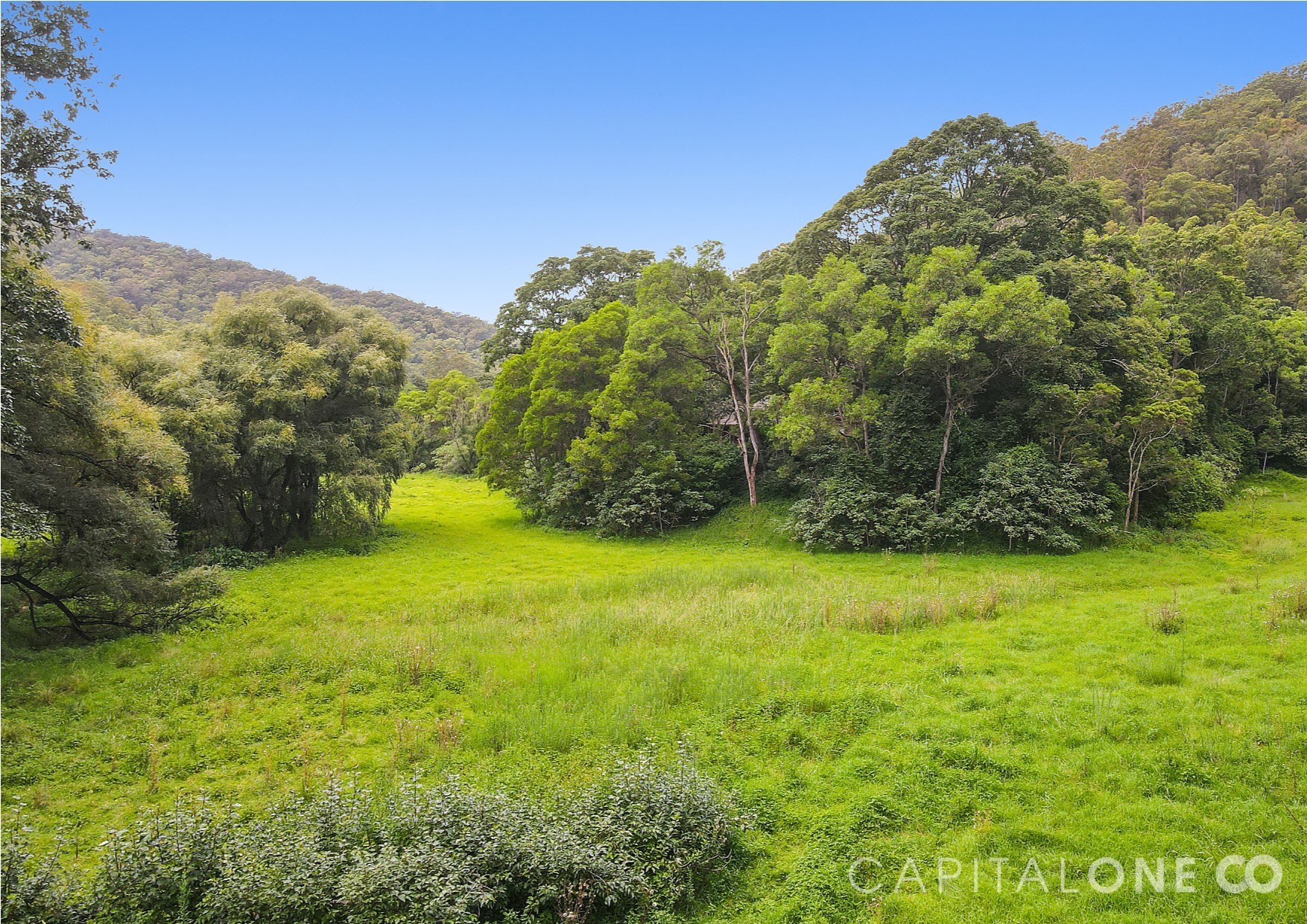 Real Estate in Yarramalong