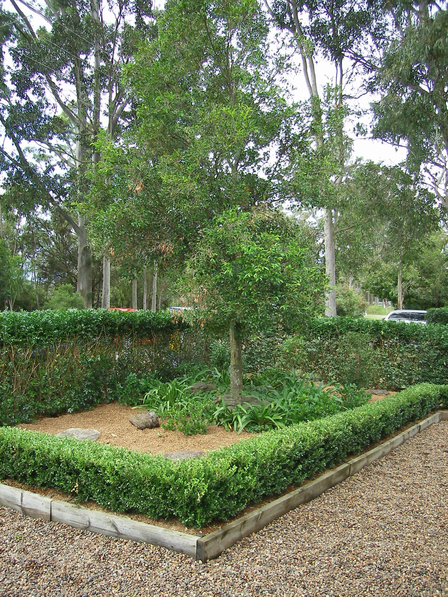 Real Estate in Wyong
