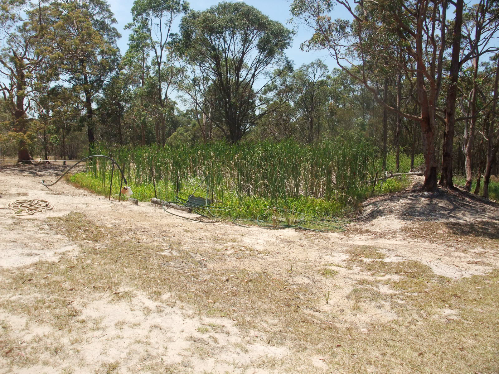 Real Estate in Wallarah