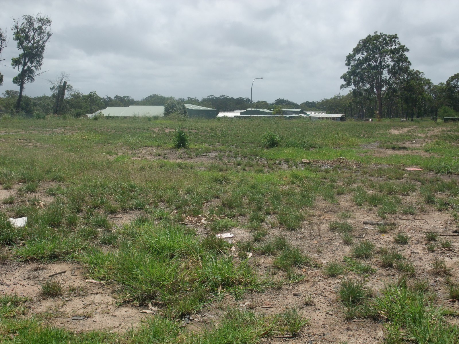 Woongarrah real estate Sold