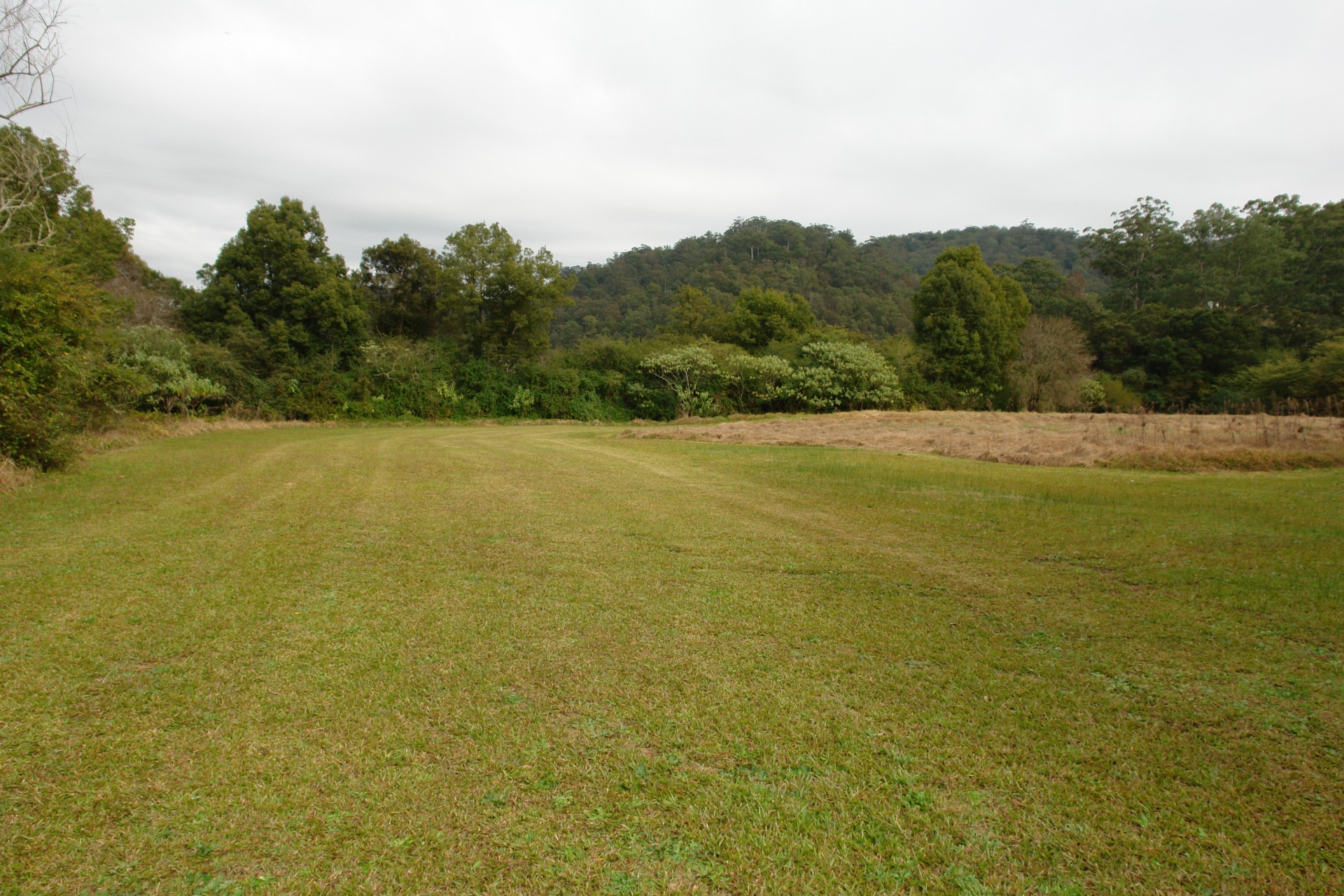 Yarramalong real estate Sold