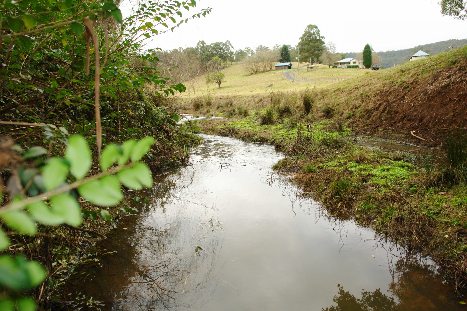 Yarramalong Properties Sold