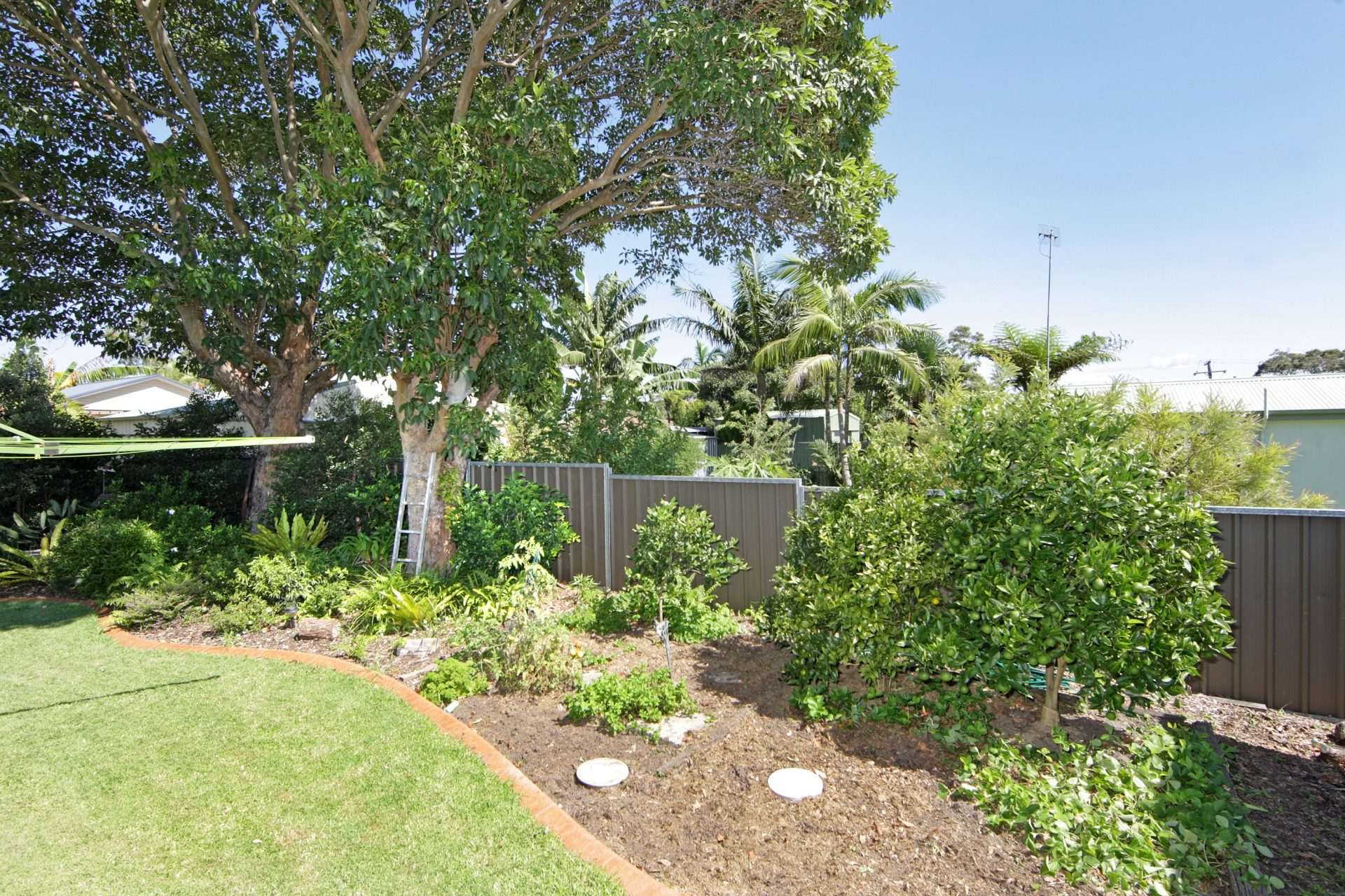 Real Estate in Noraville