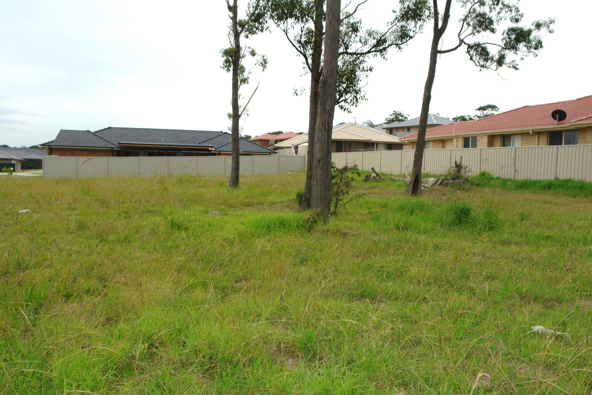 Woongarrah Properties Sold