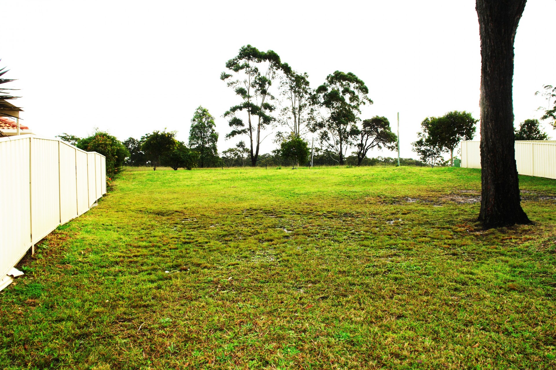 Woongarrah Properties Sold