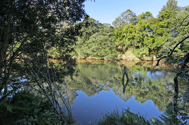 Fresh water Wyong river at rear