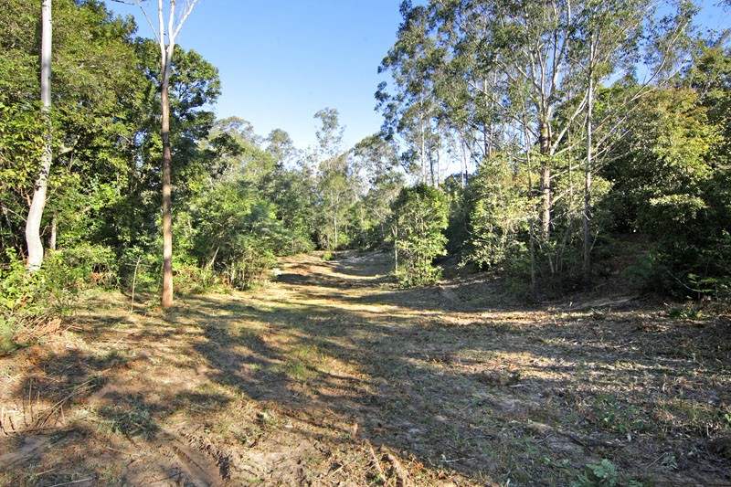 Real Estate in Wyong Creek