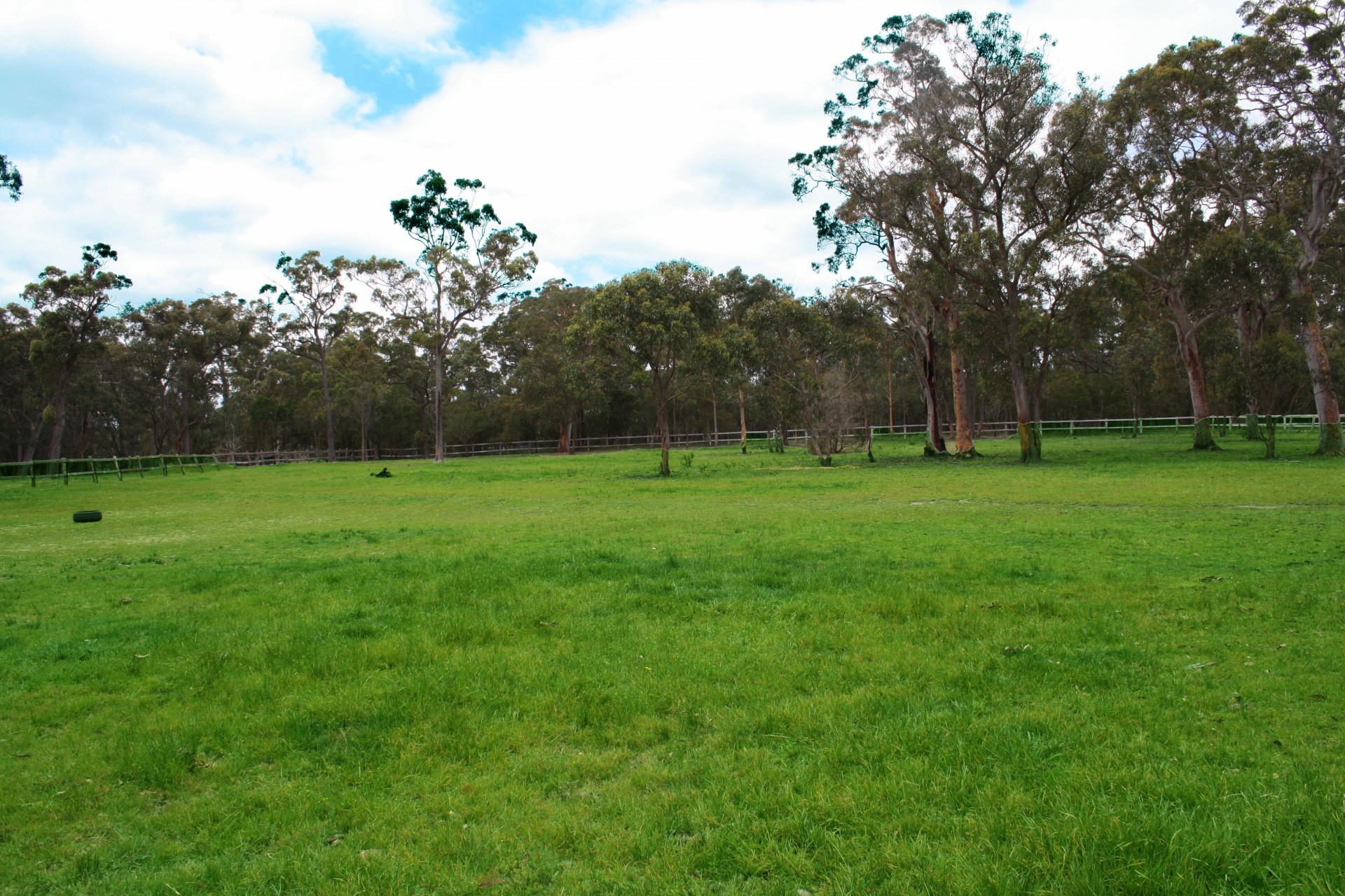 Real Estate in Warnervale