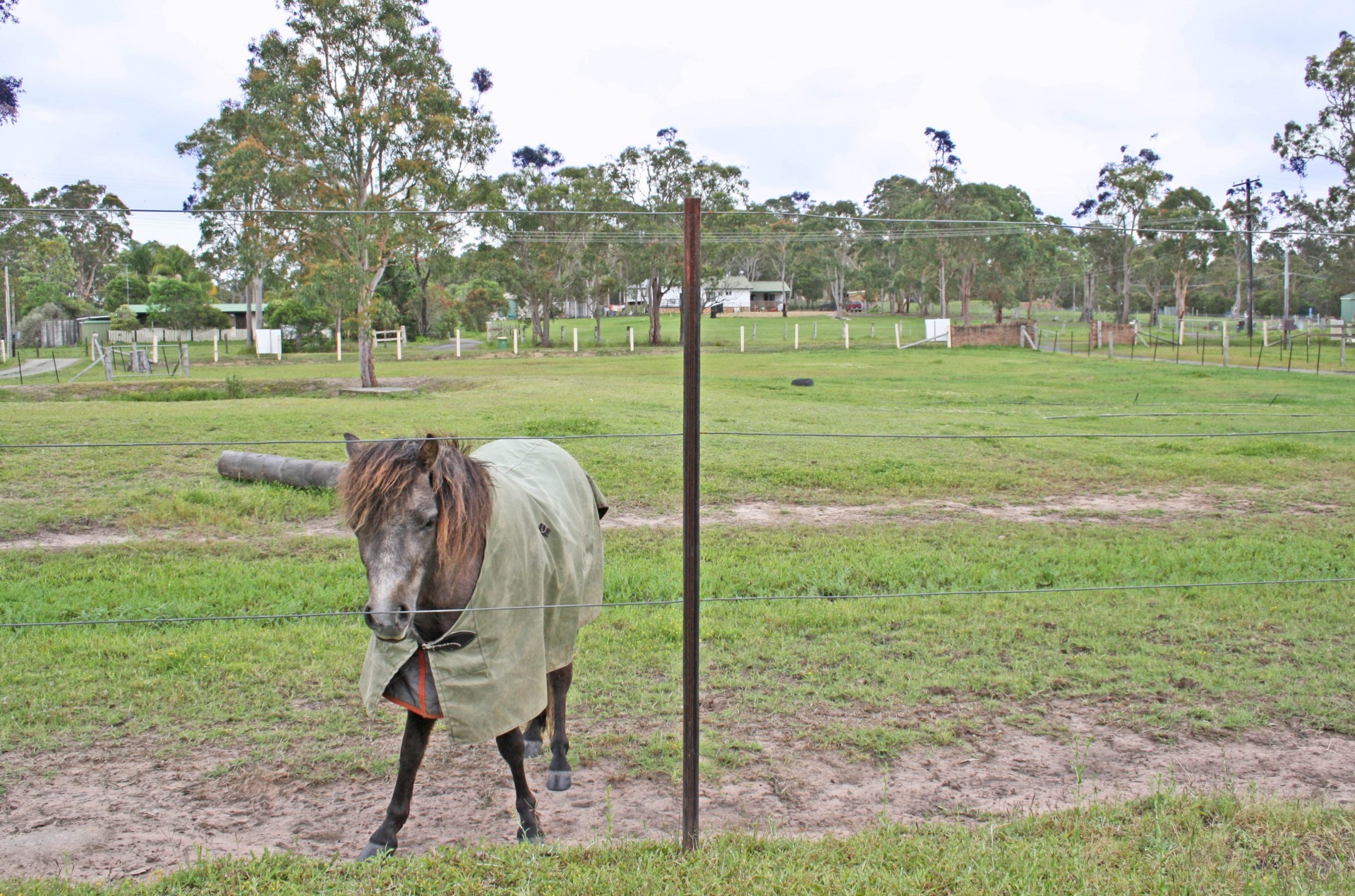 Real Estate in Warnervale