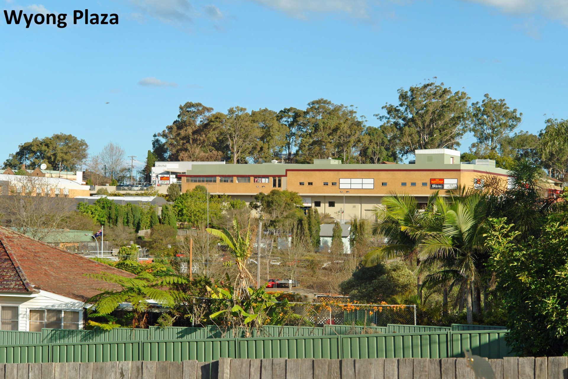 Real Estate in Wyong