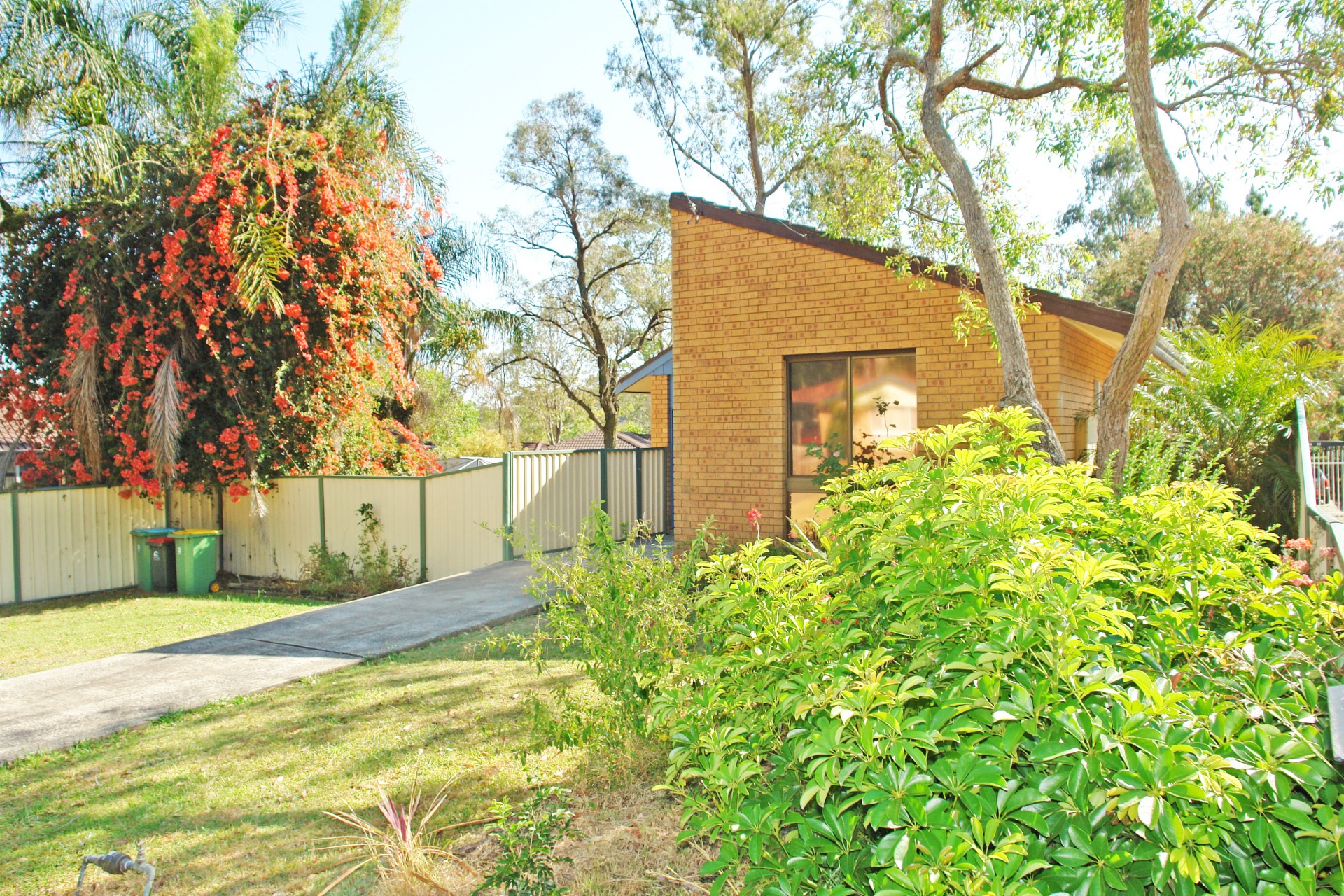 Property Leased in Watanobbi