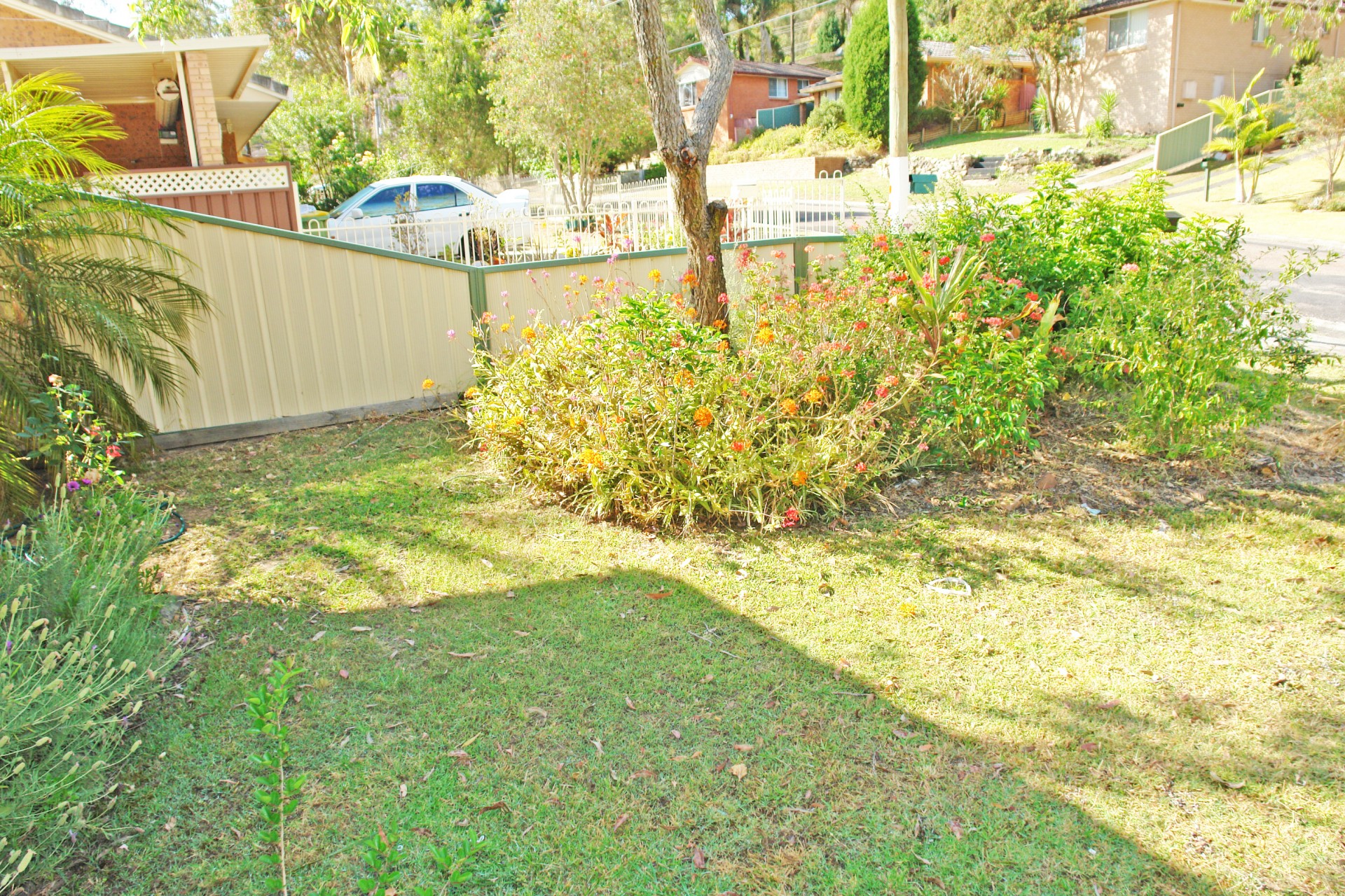 Real Estate in Watanobbi