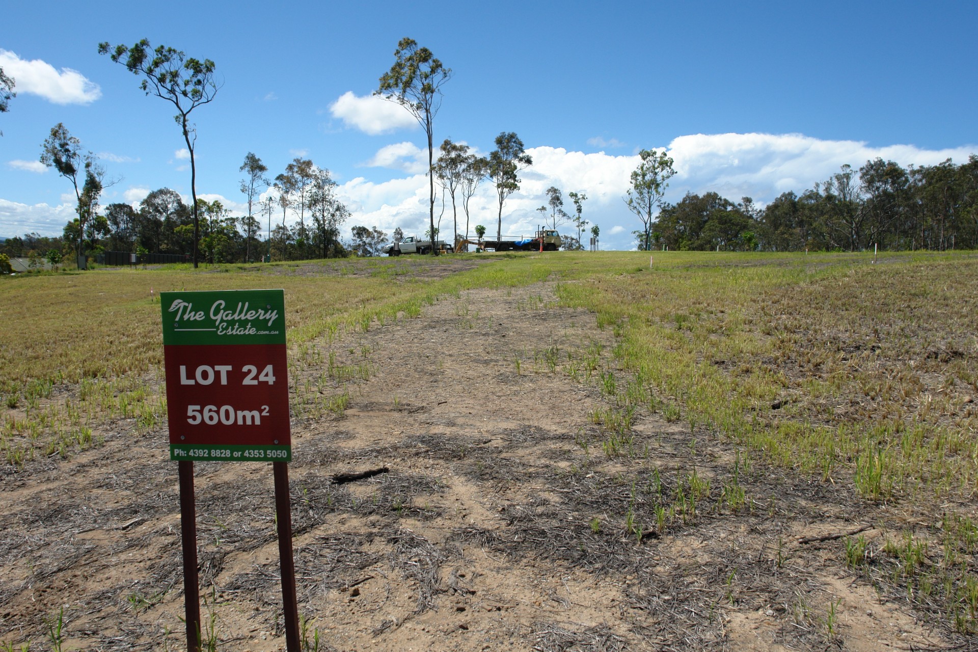 Real Estate in Wadalba