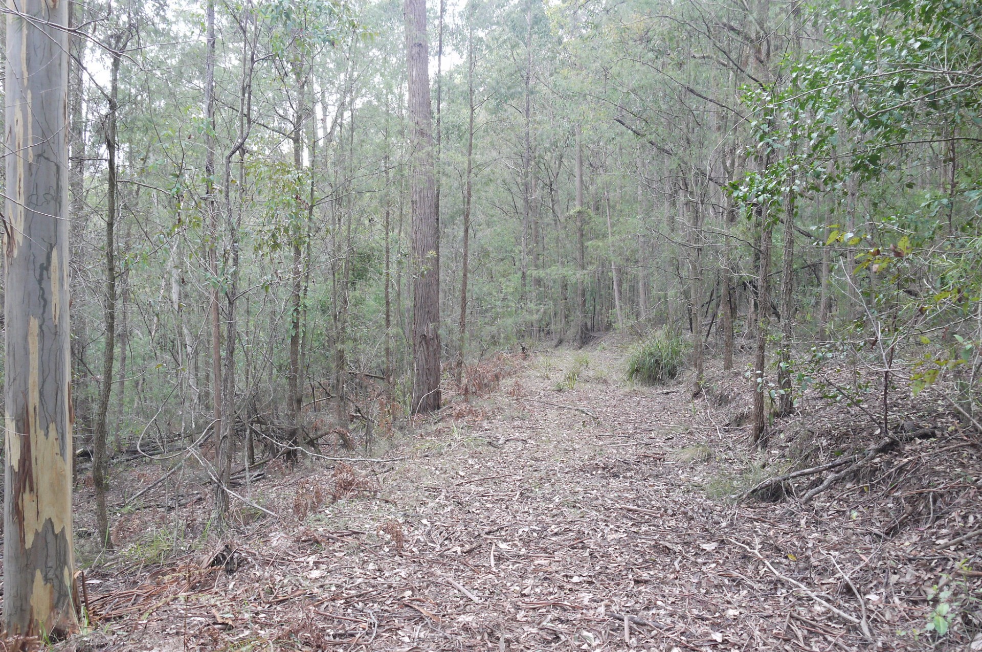 Lot 144 & 145 Brush Creek Road, Cedar Brush Creek > Capital One Real Estate