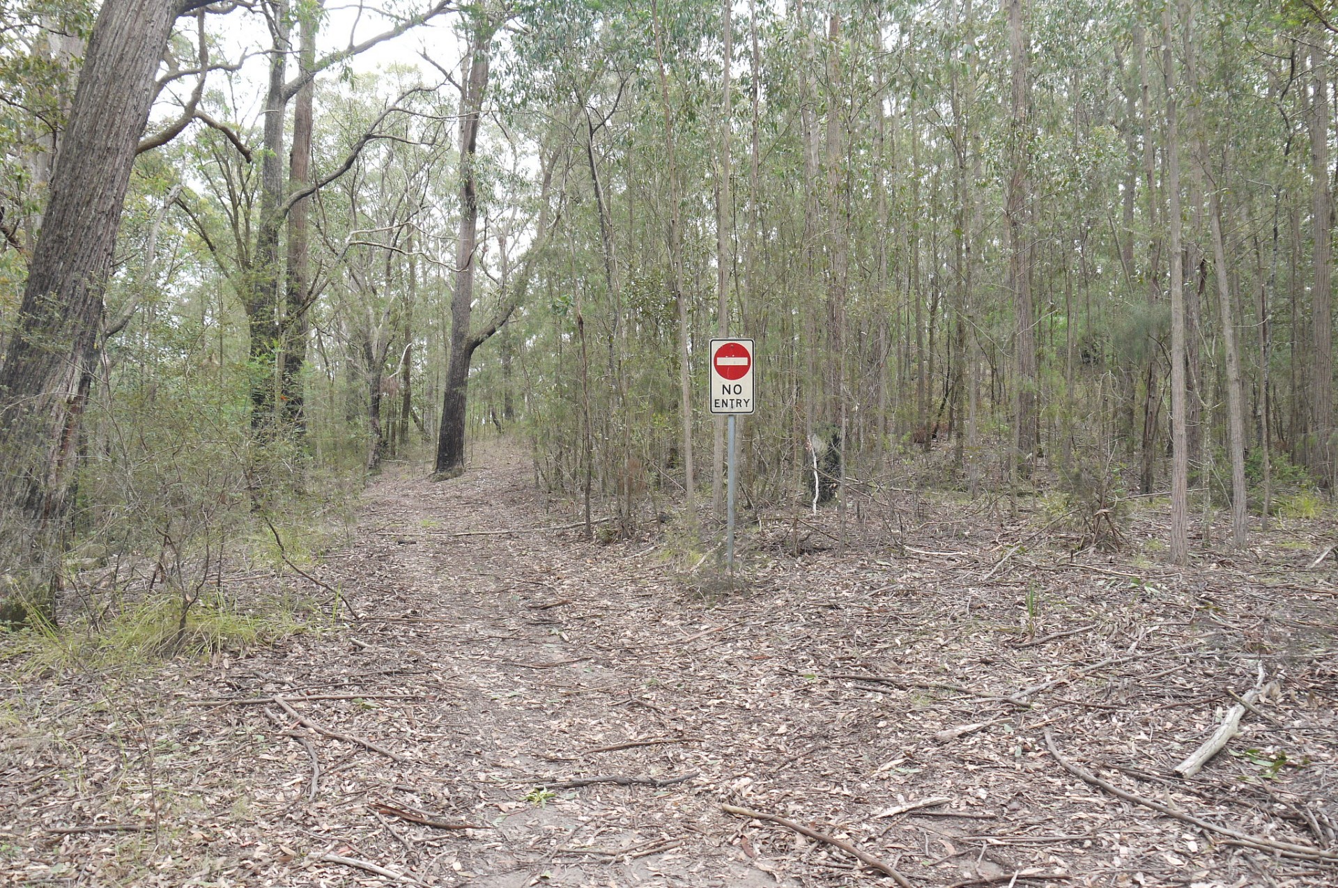 Lot 144 & 145 Brush Creek Road, Cedar Brush Creek > Capital One Real Estate