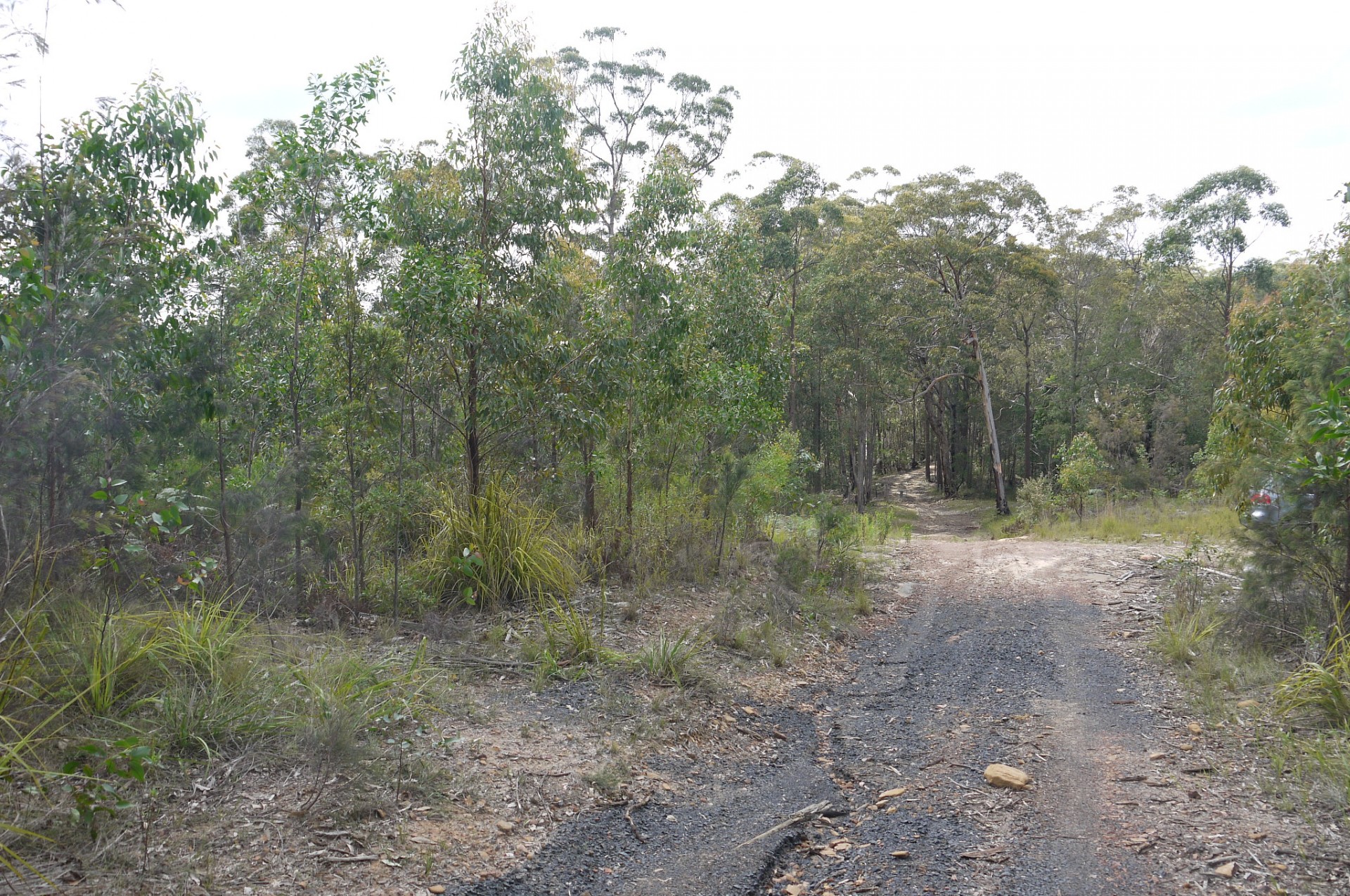 Lot 144 & 145 Brush Creek Road, Cedar Brush Creek > Capital One Real Estate