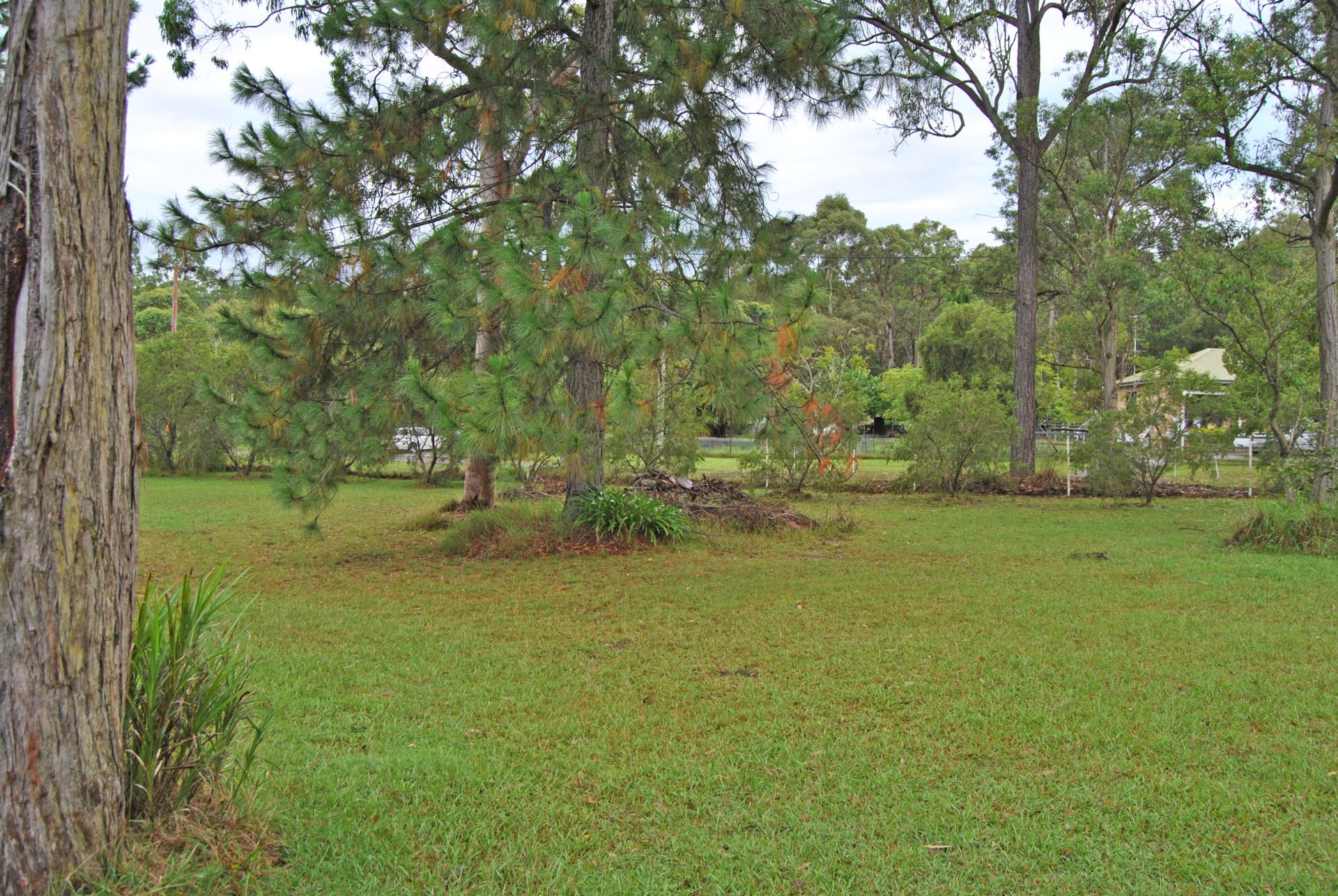 Real Estate in Wallarah