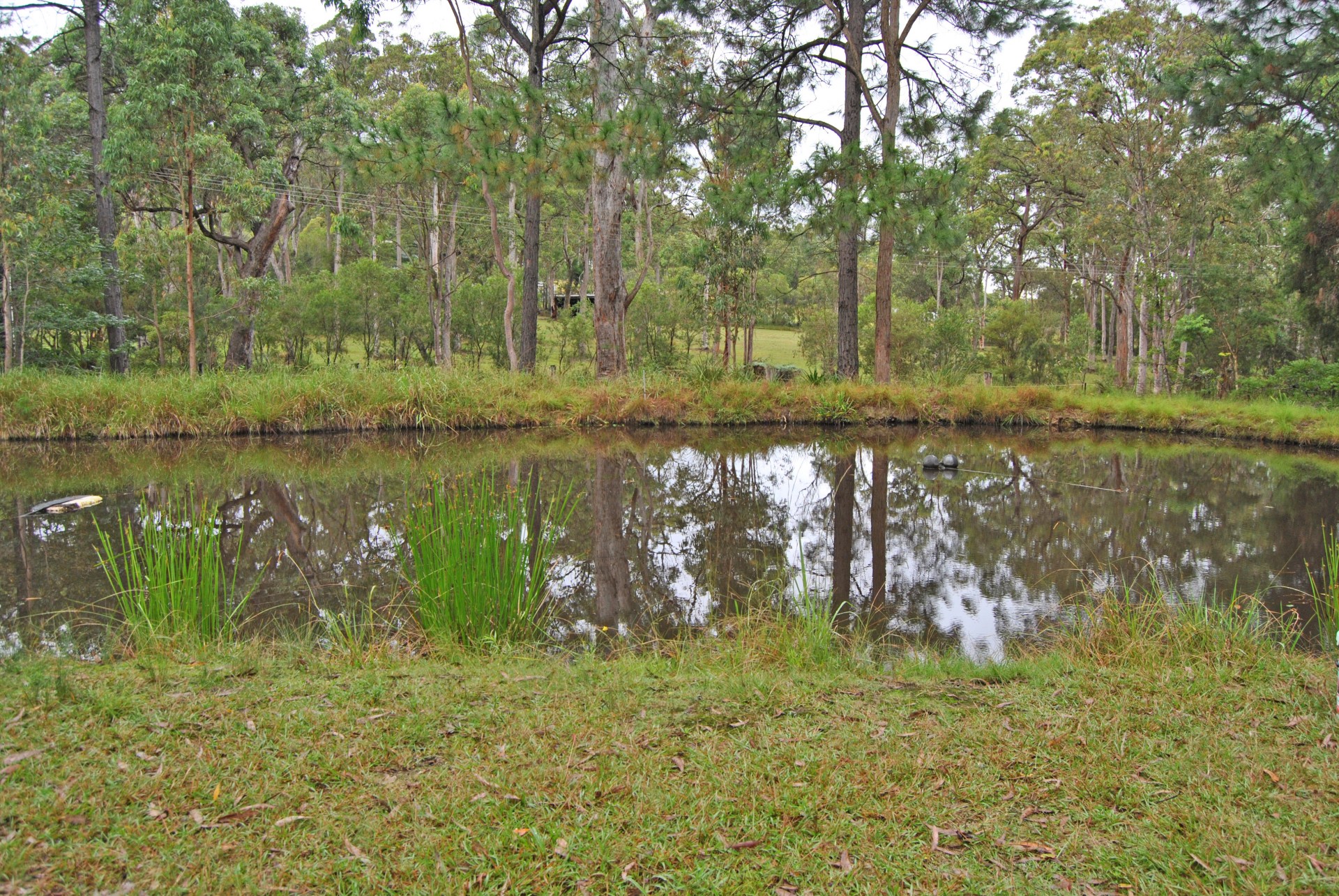 Open for inspection in Wallarah