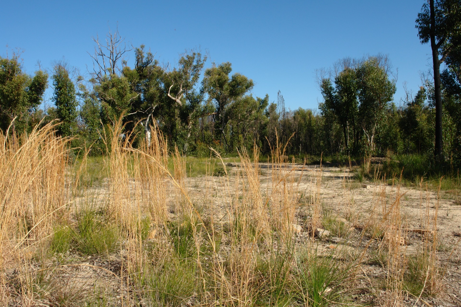 Open for inspection in Wyee