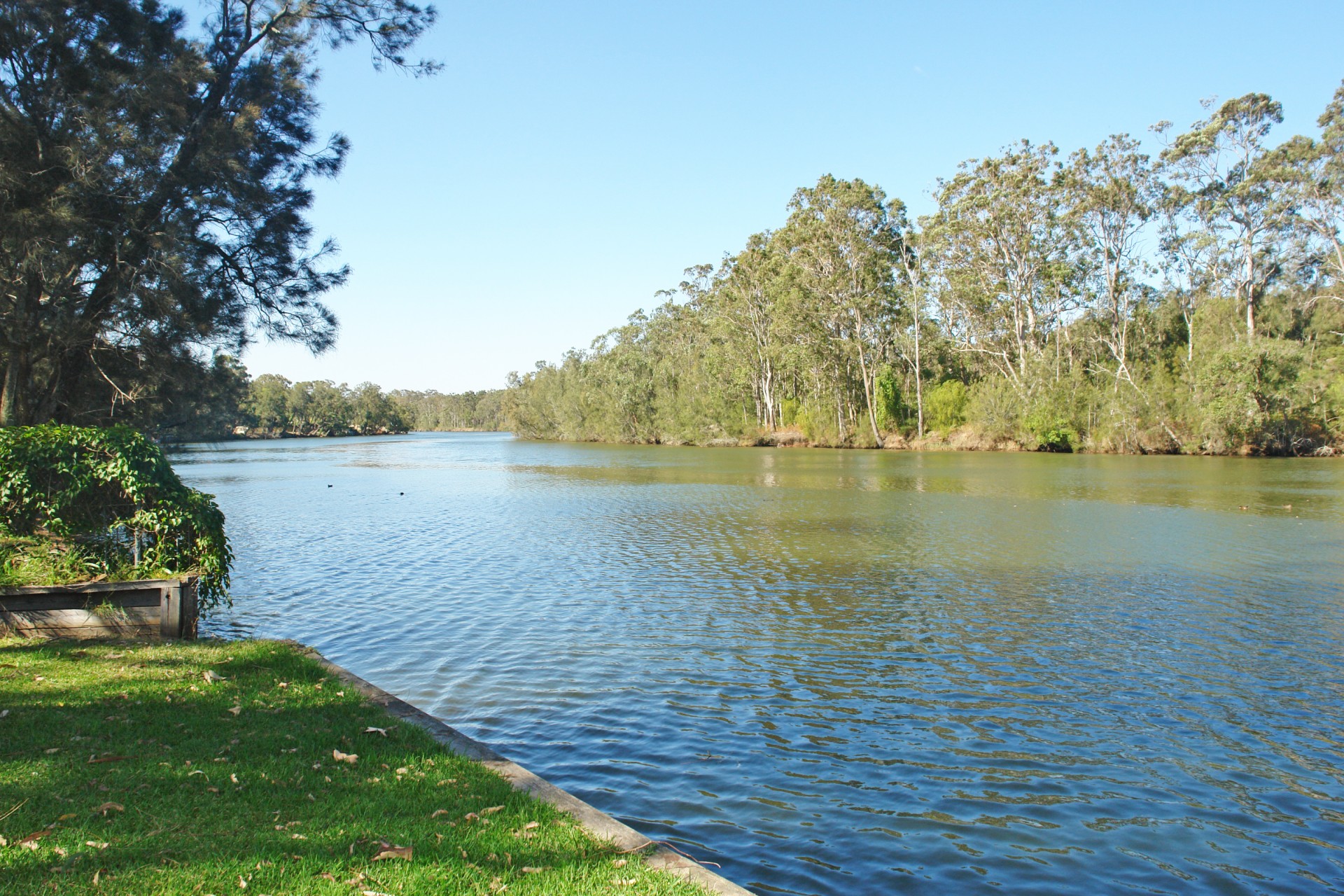 Wyong Properties Sold