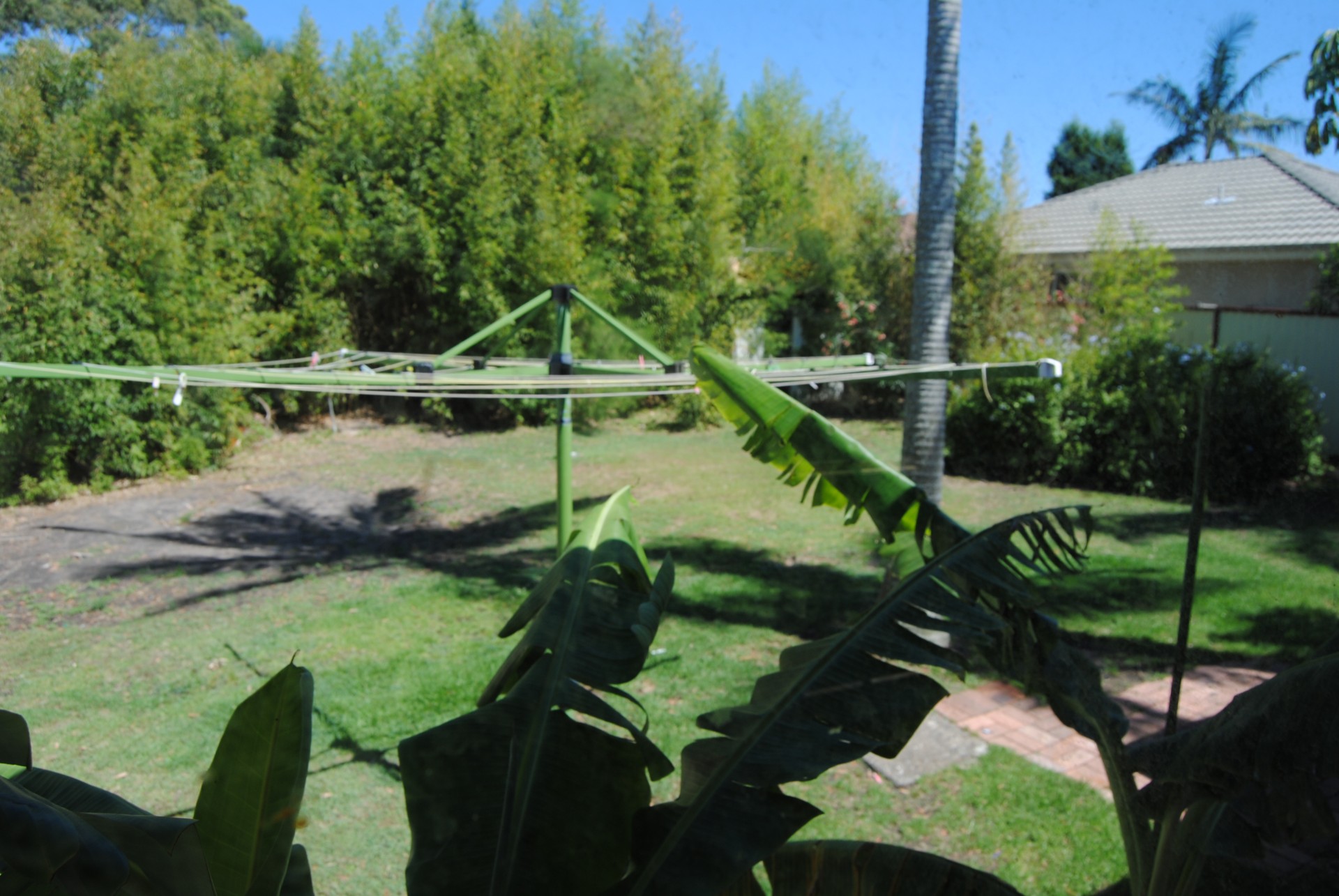 Toukley Properties Sold