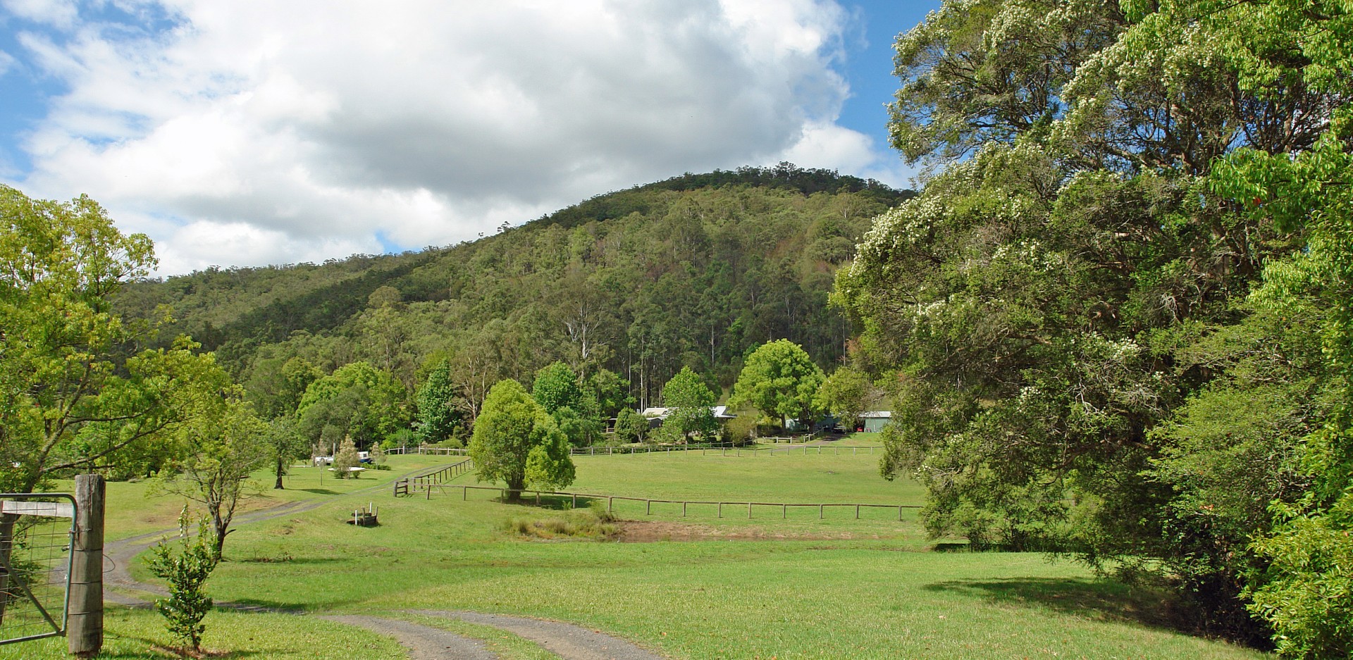 Yarramalong Properties Sold