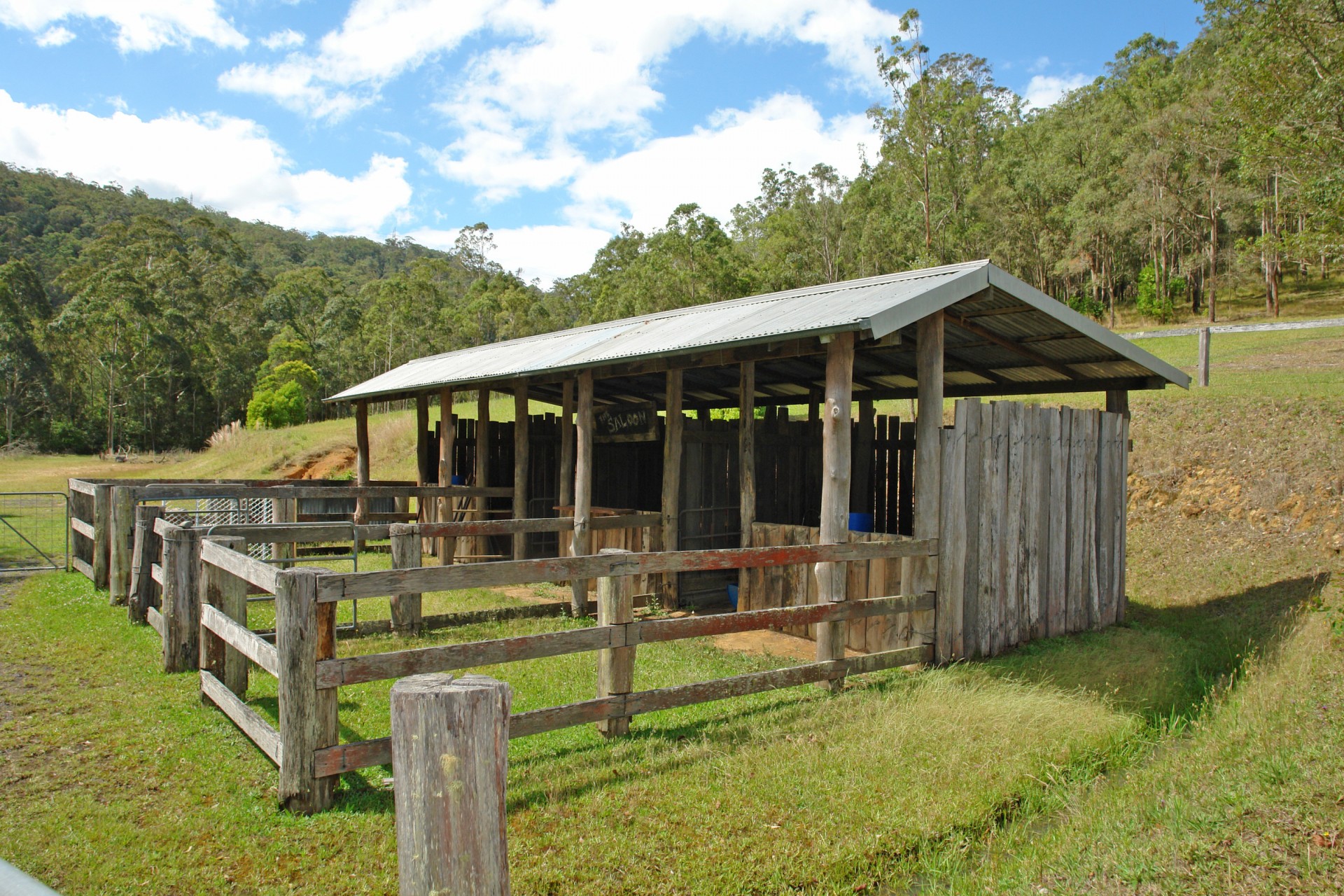 Real Estate in Yarramalong