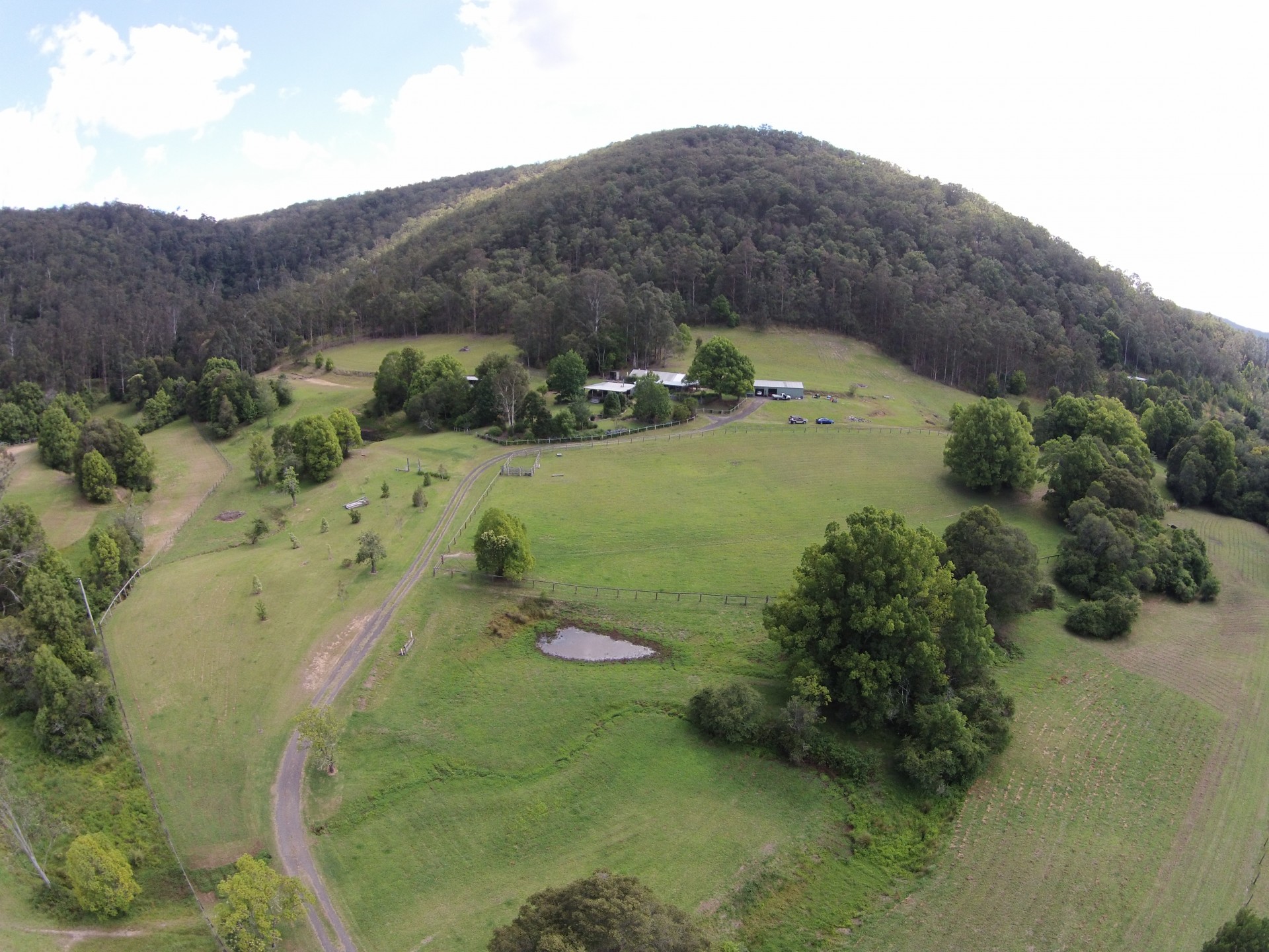 Real Estate in Yarramalong