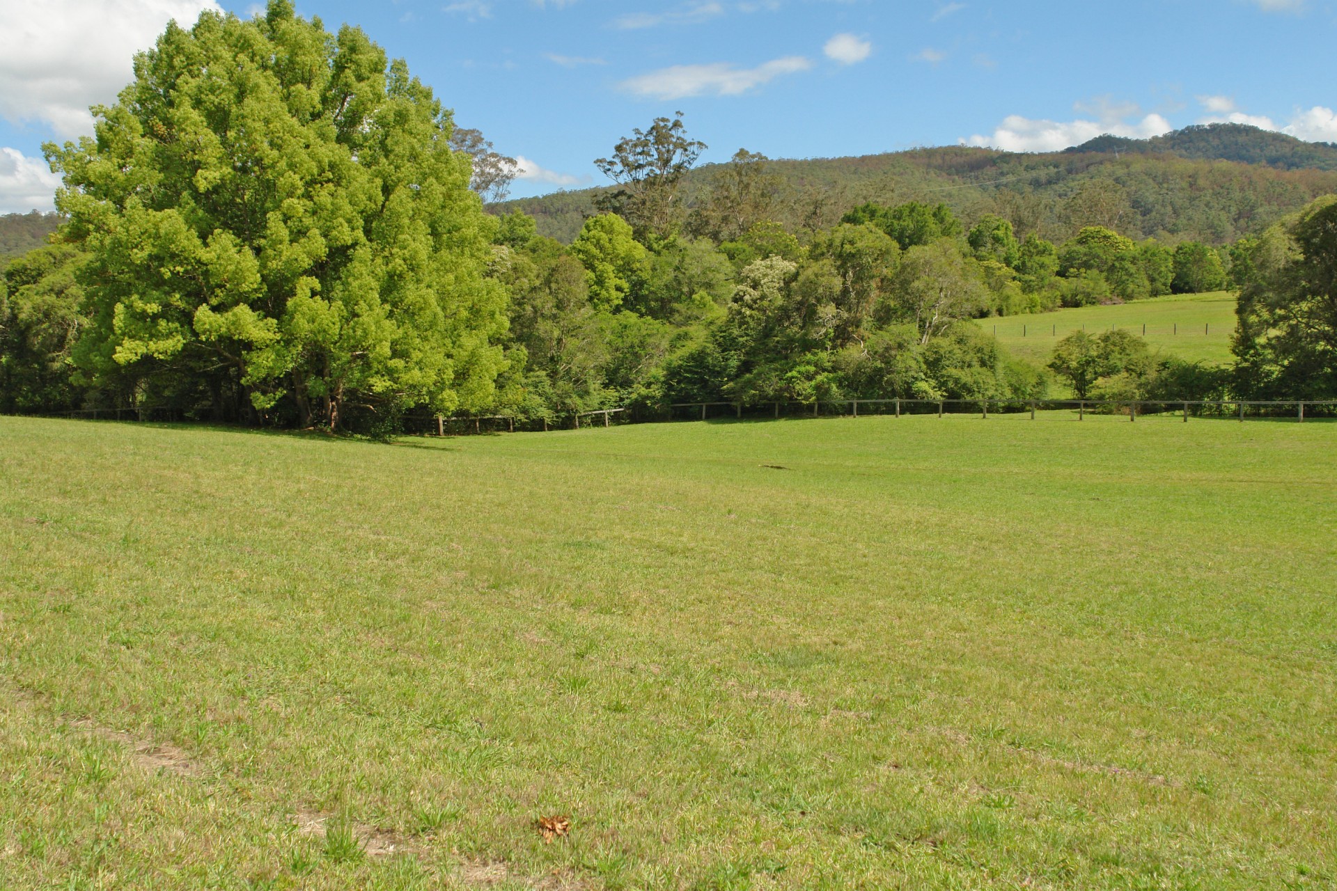 Yarramalong real estate Sold