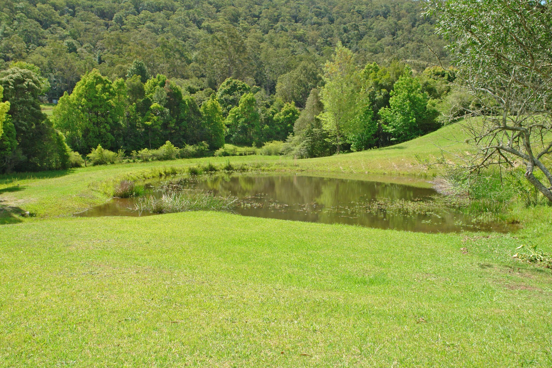 Open for inspection in Yarramalong