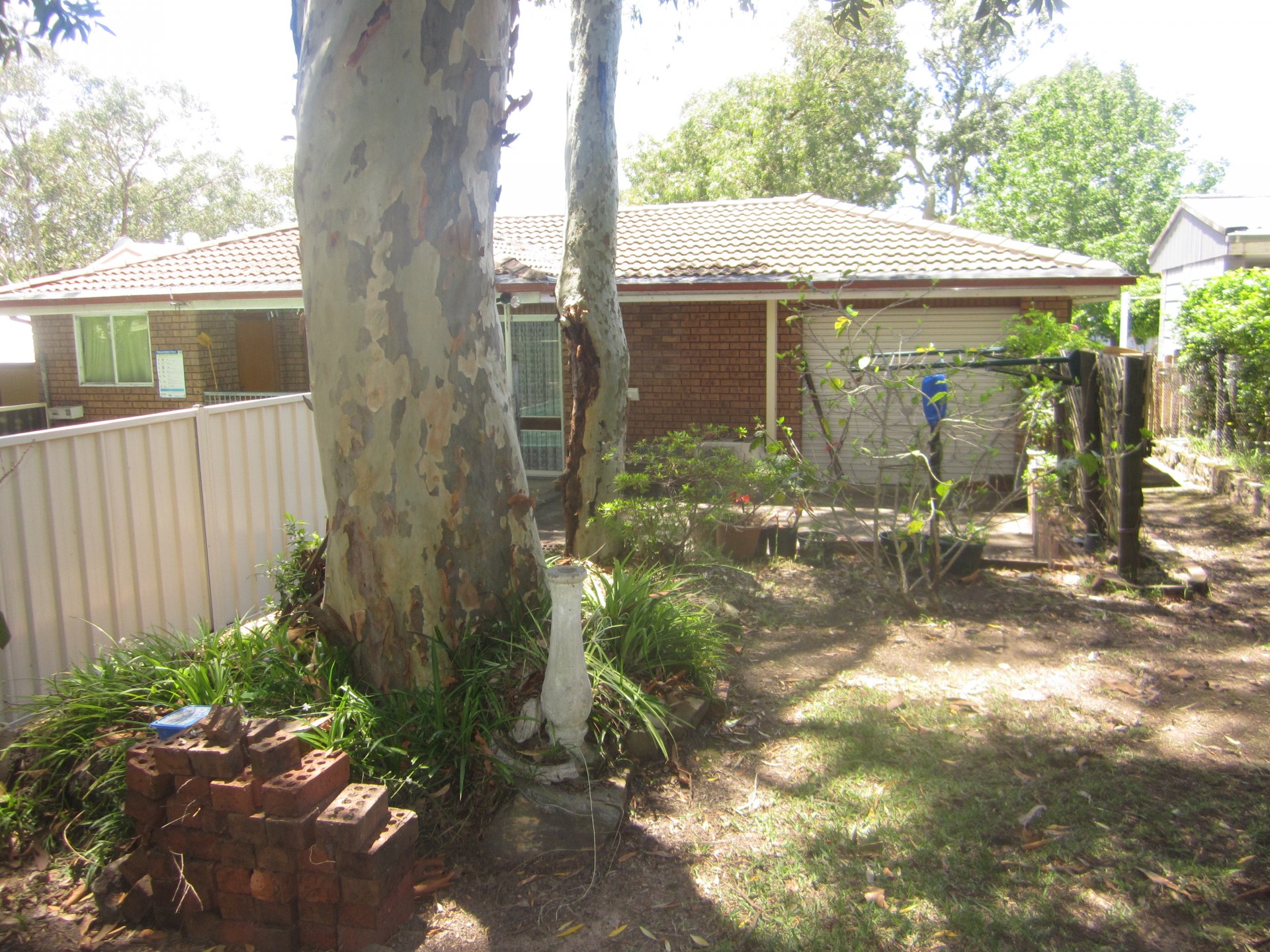 Real Estate in Wyongah