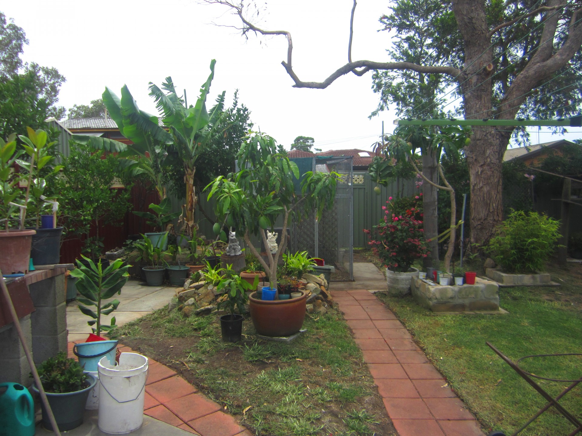 Open for inspection in Gorokan