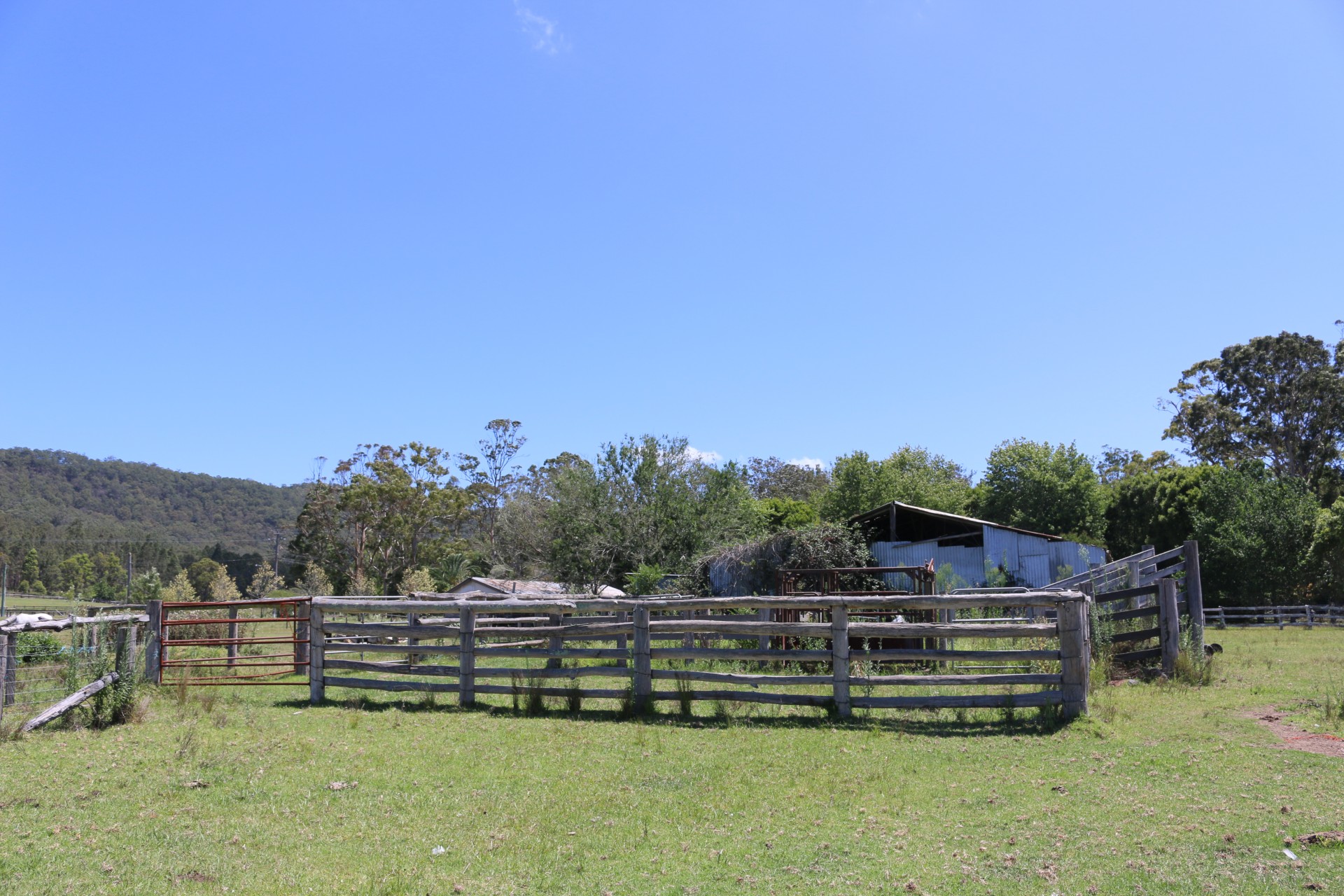 Real Estate in Dooralong