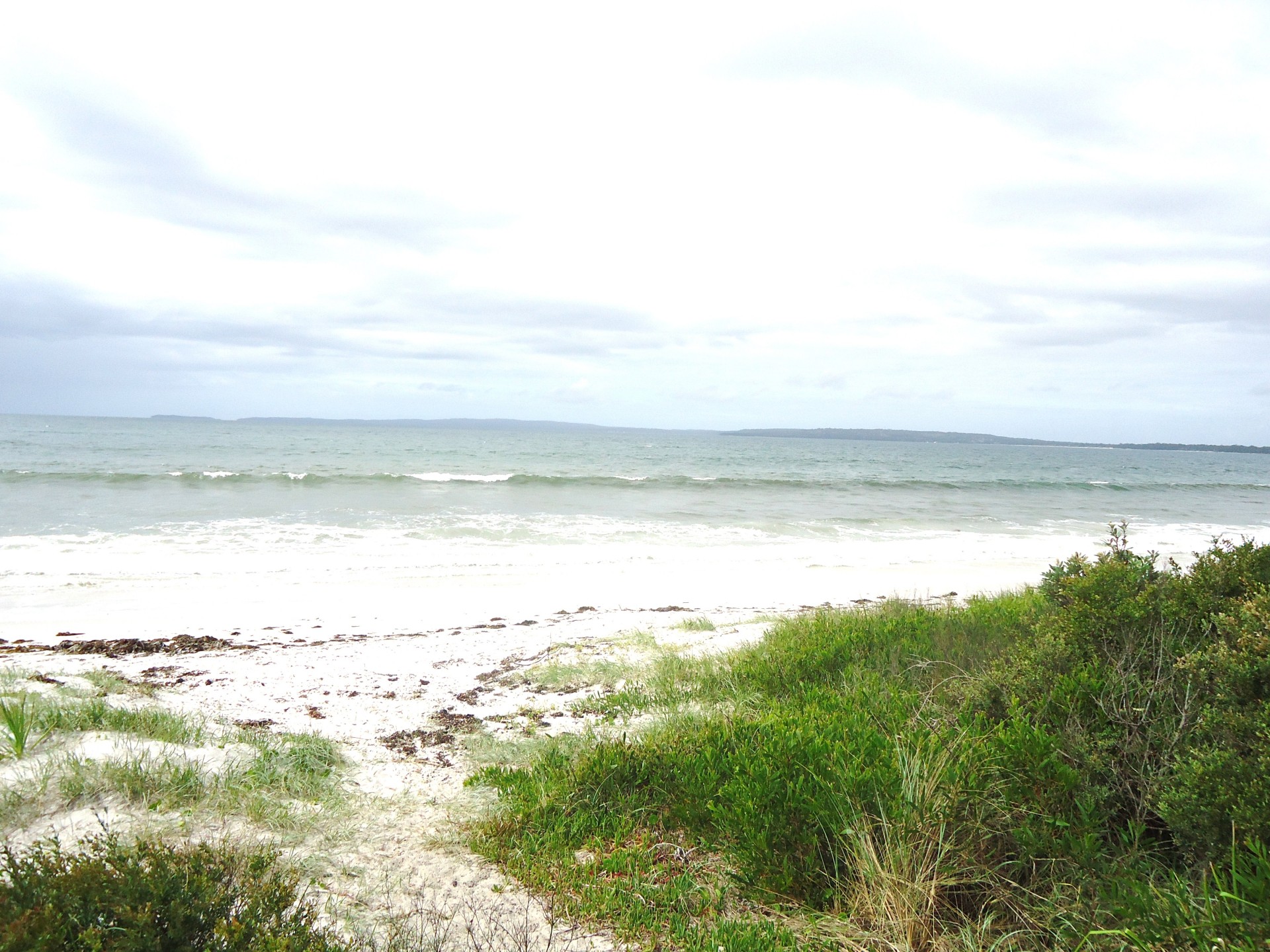 Real Estate in Callala Beach